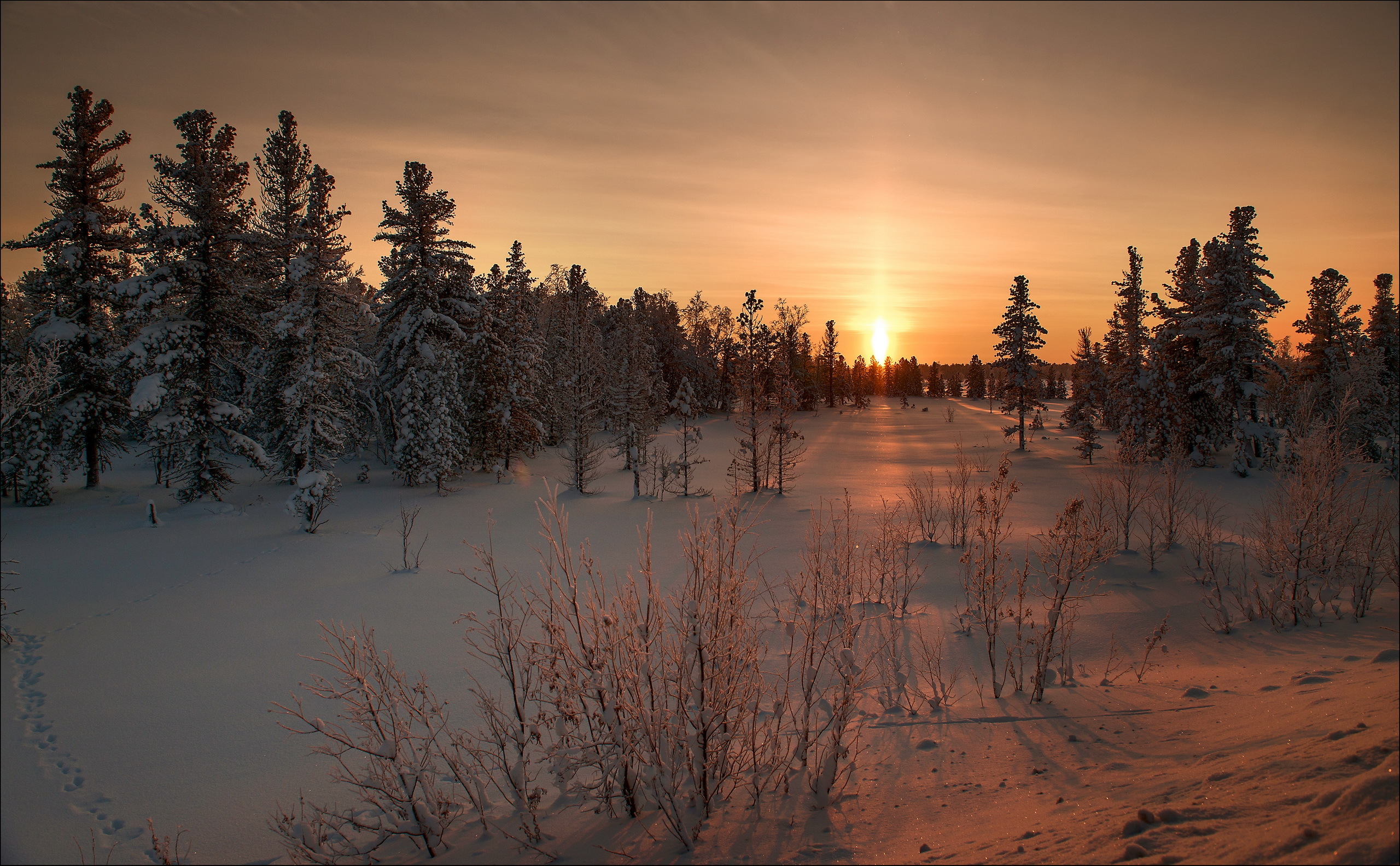 157832 Hintergrundbild herunterladen winter, sunset, schnee, natur, grass - Bildschirmschoner und Bilder kostenlos