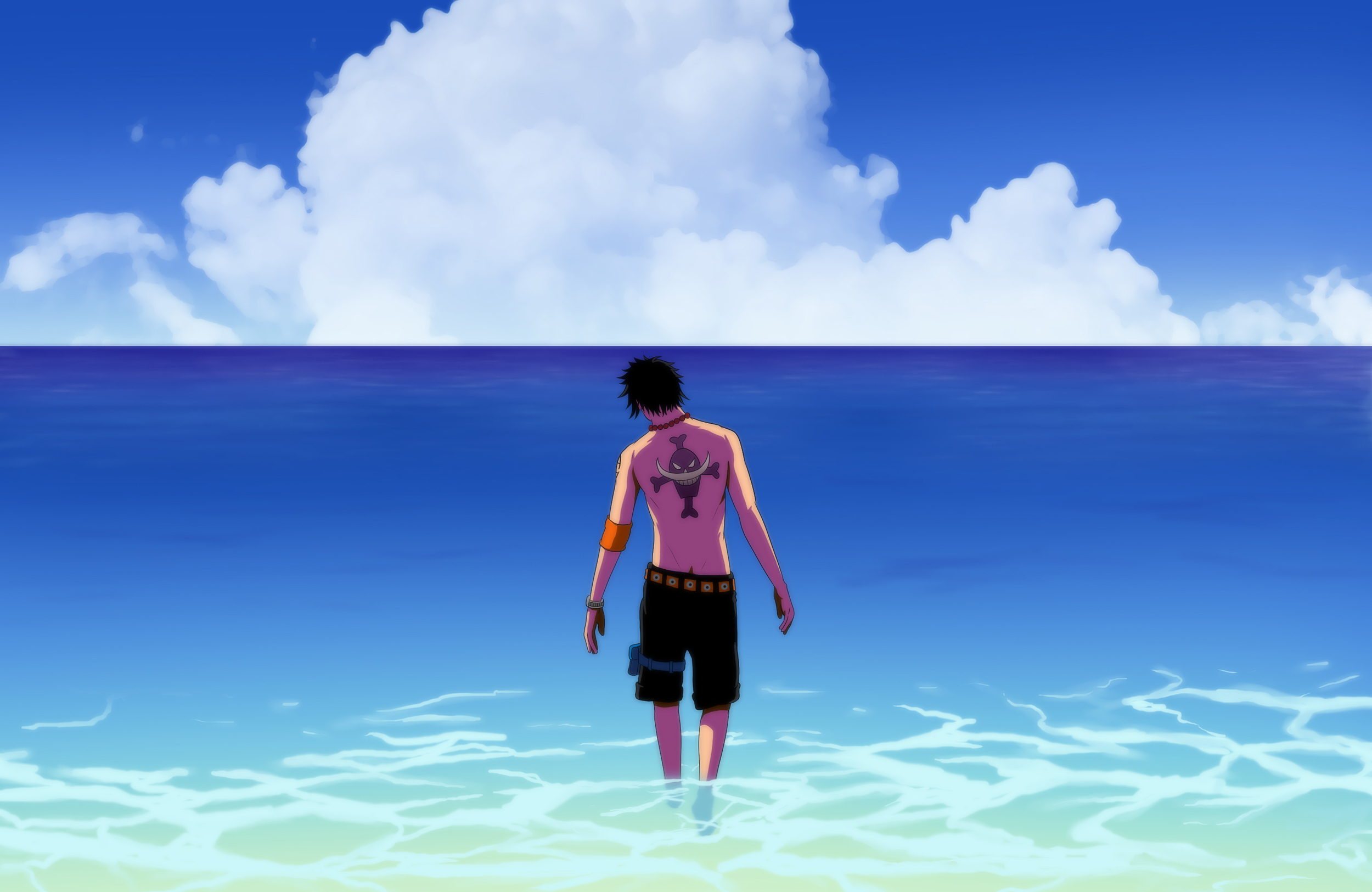 One Piece Water