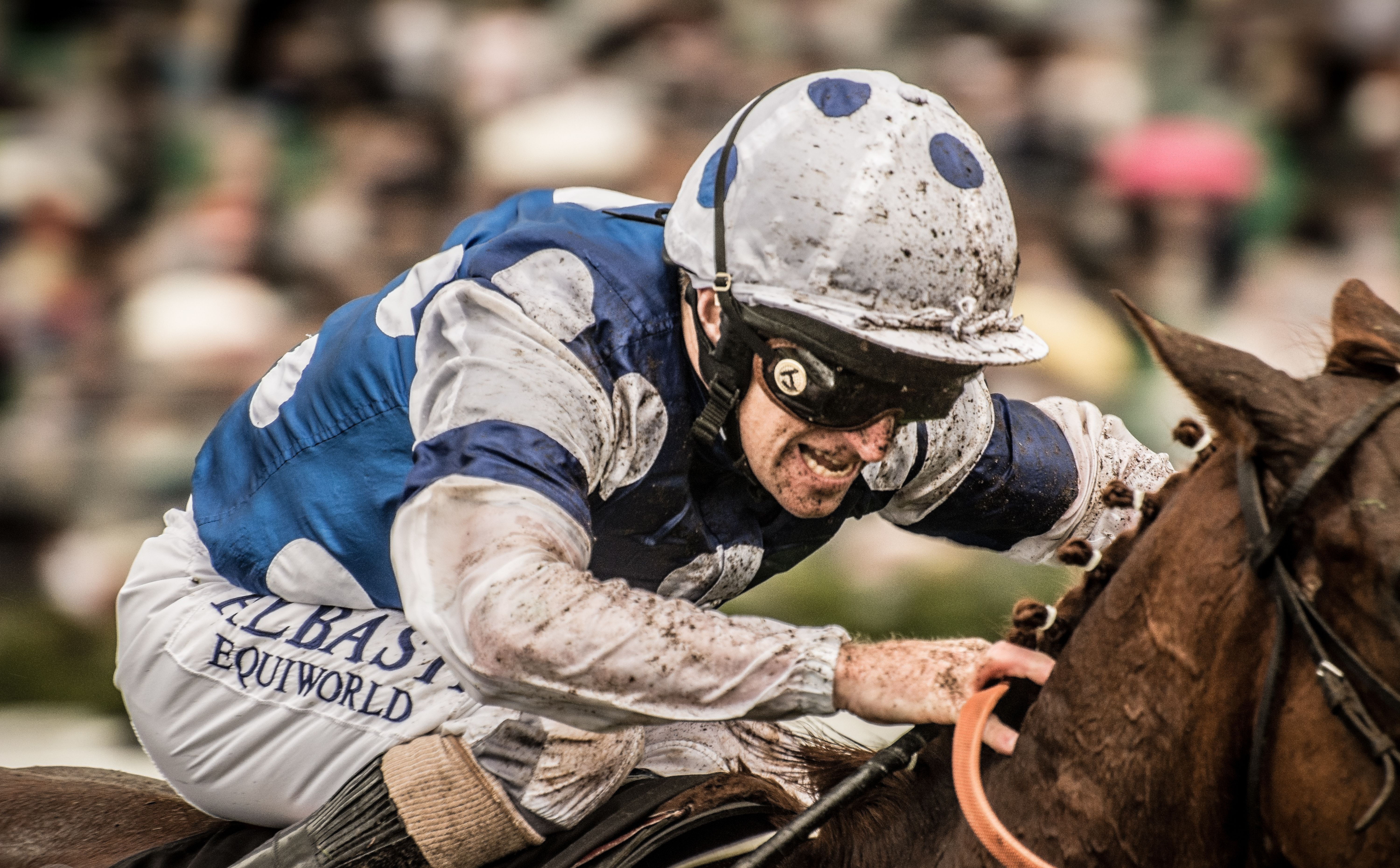 sports, horse racing, racing cellphone