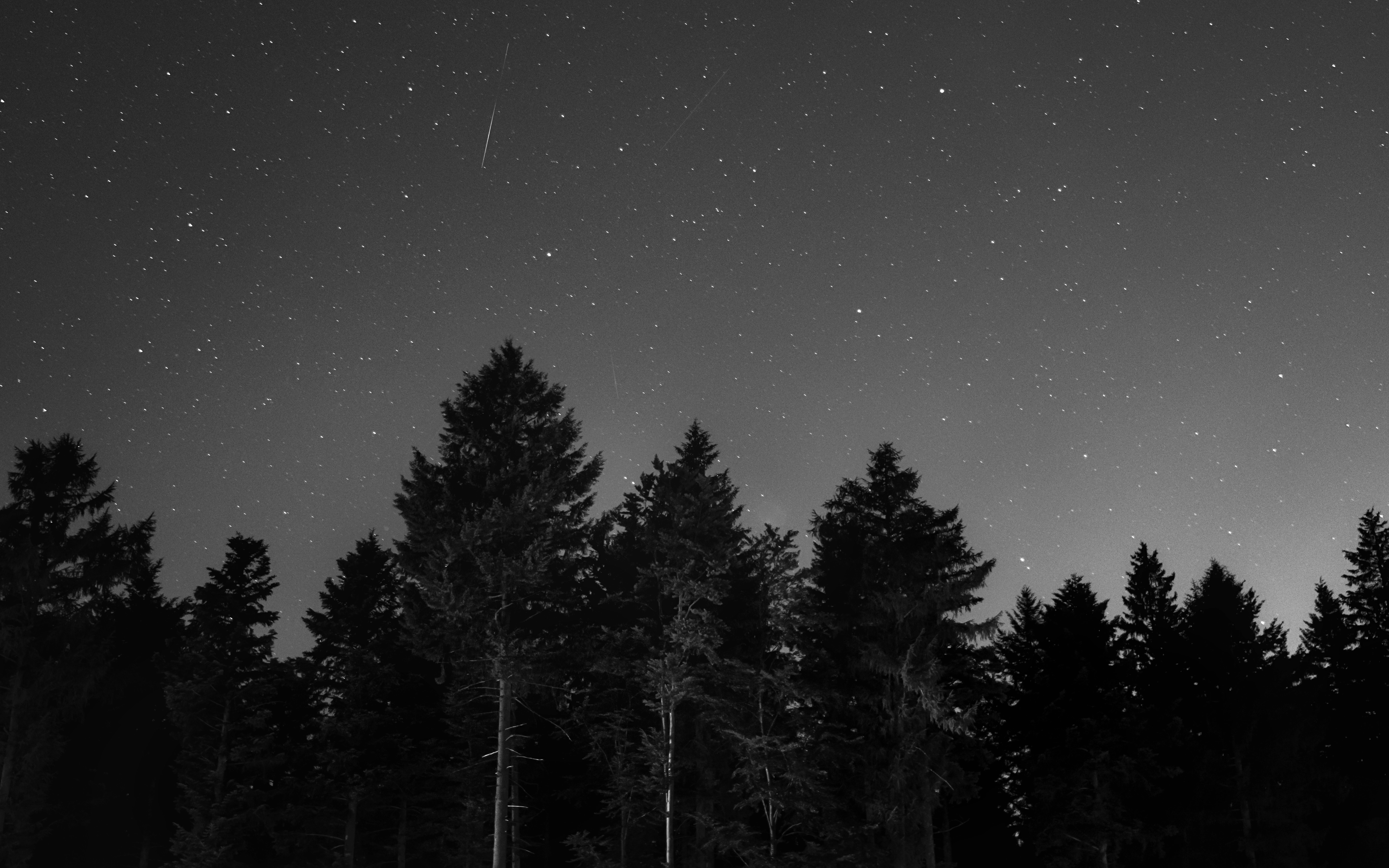 bw, nature, night, starry sky, chb 8K