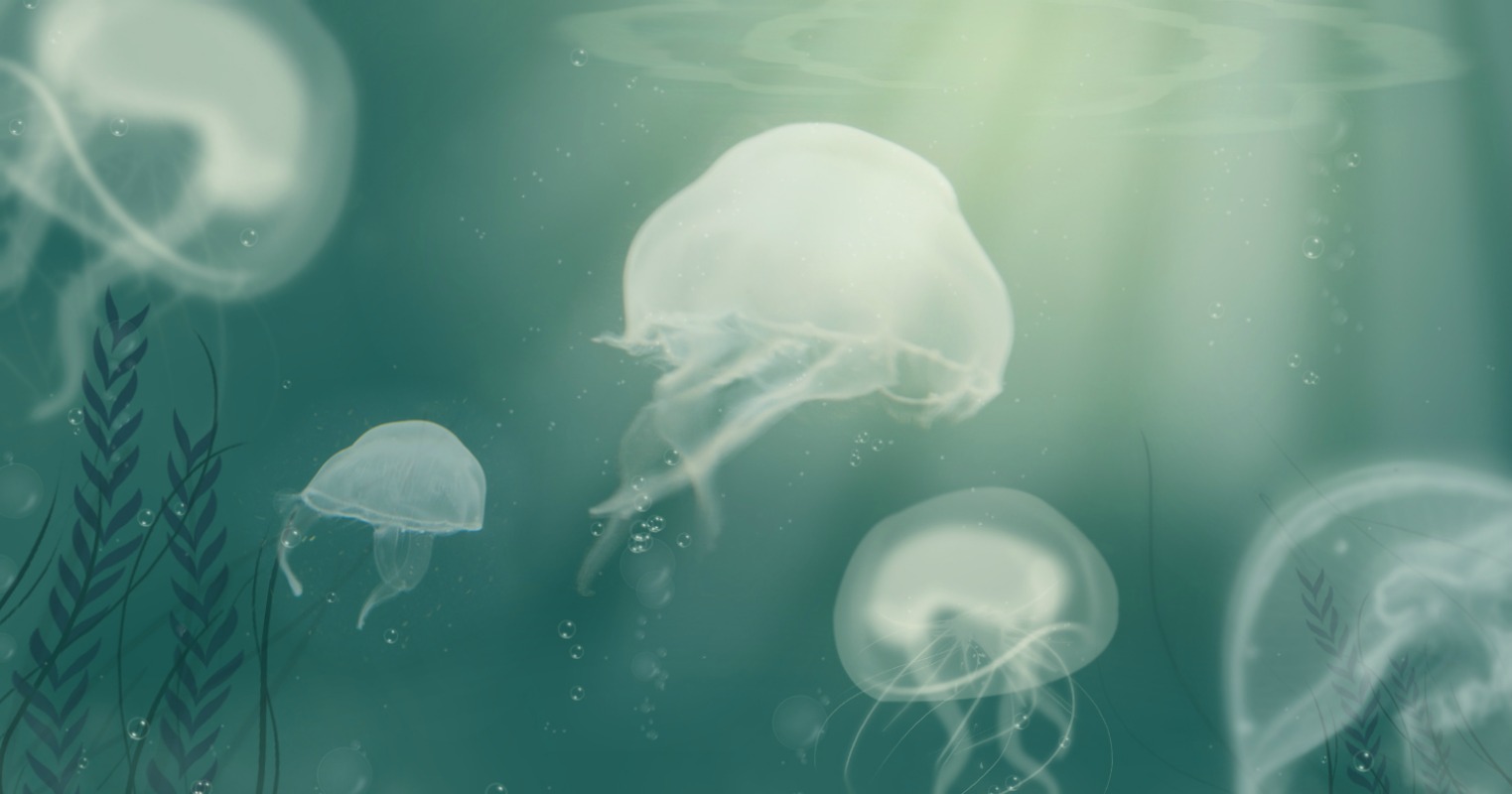 Медузы Во Льдах