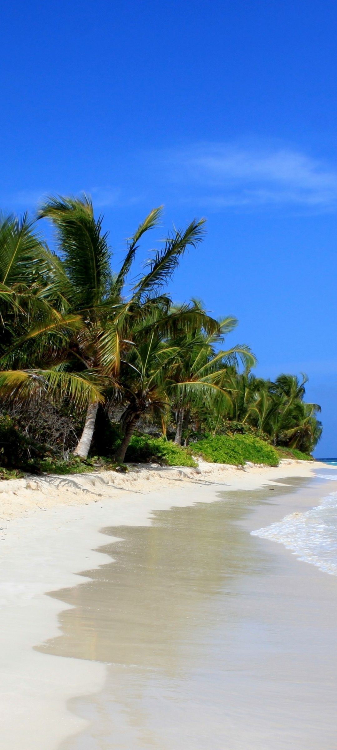 1431743 Hintergrundbild herunterladen erde/natur, strand, natur, puerto rico, flamenco strand, tropisch - Bildschirmschoner und Bilder kostenlos