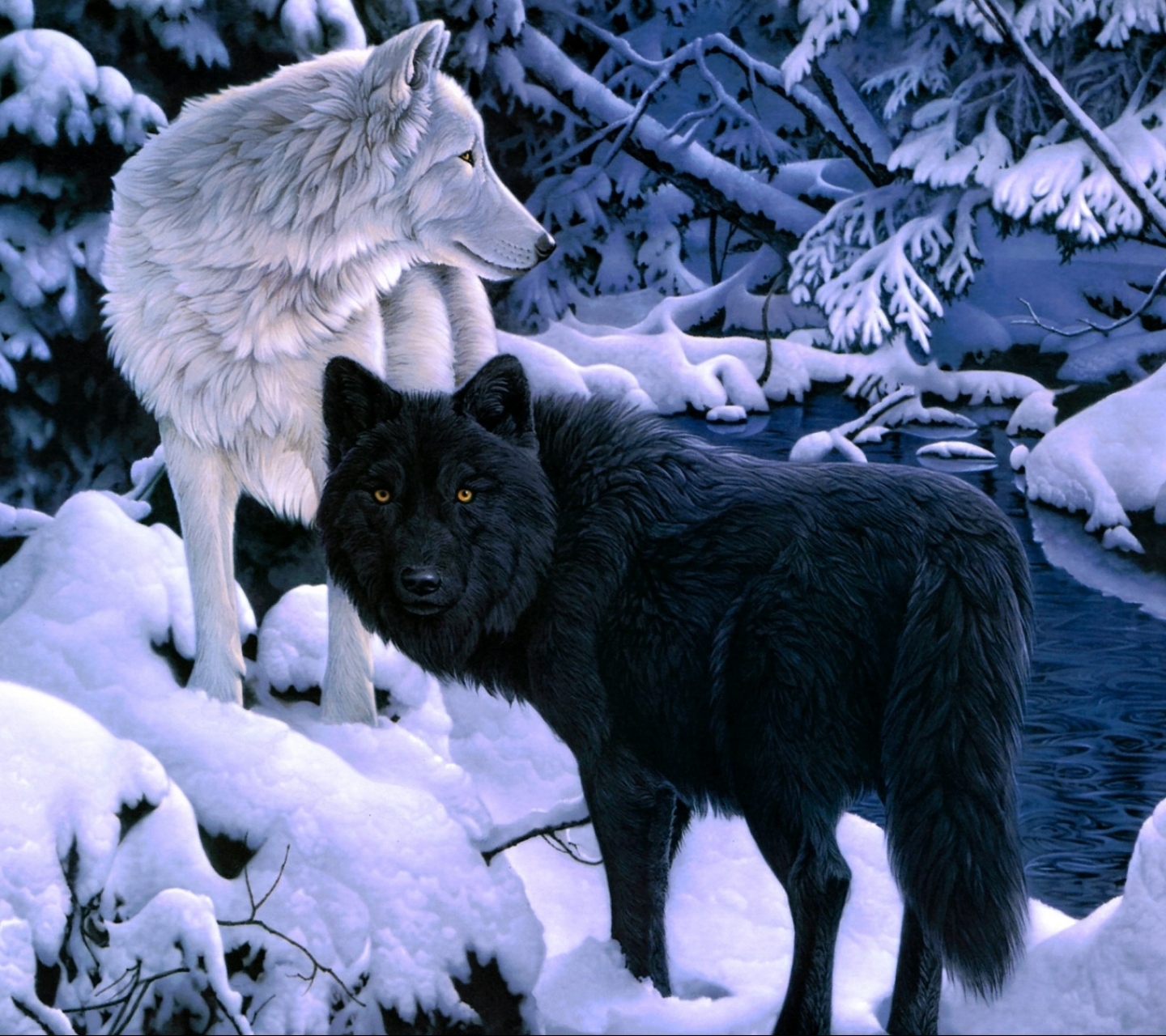 два волка добро и зло картинки