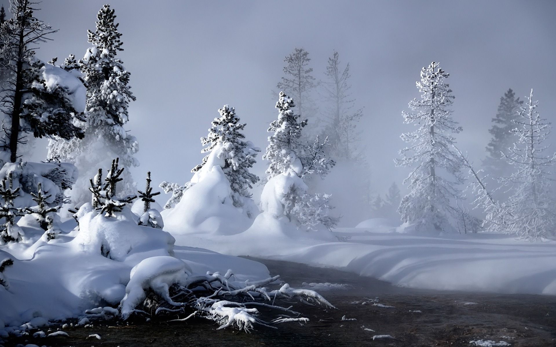 Laden Sie das Natur, Bäume, Nebel, Dampf, Aß, Aßen, Schnee, Wasser, Flüsse-Bild kostenlos auf Ihren PC-Desktop herunter