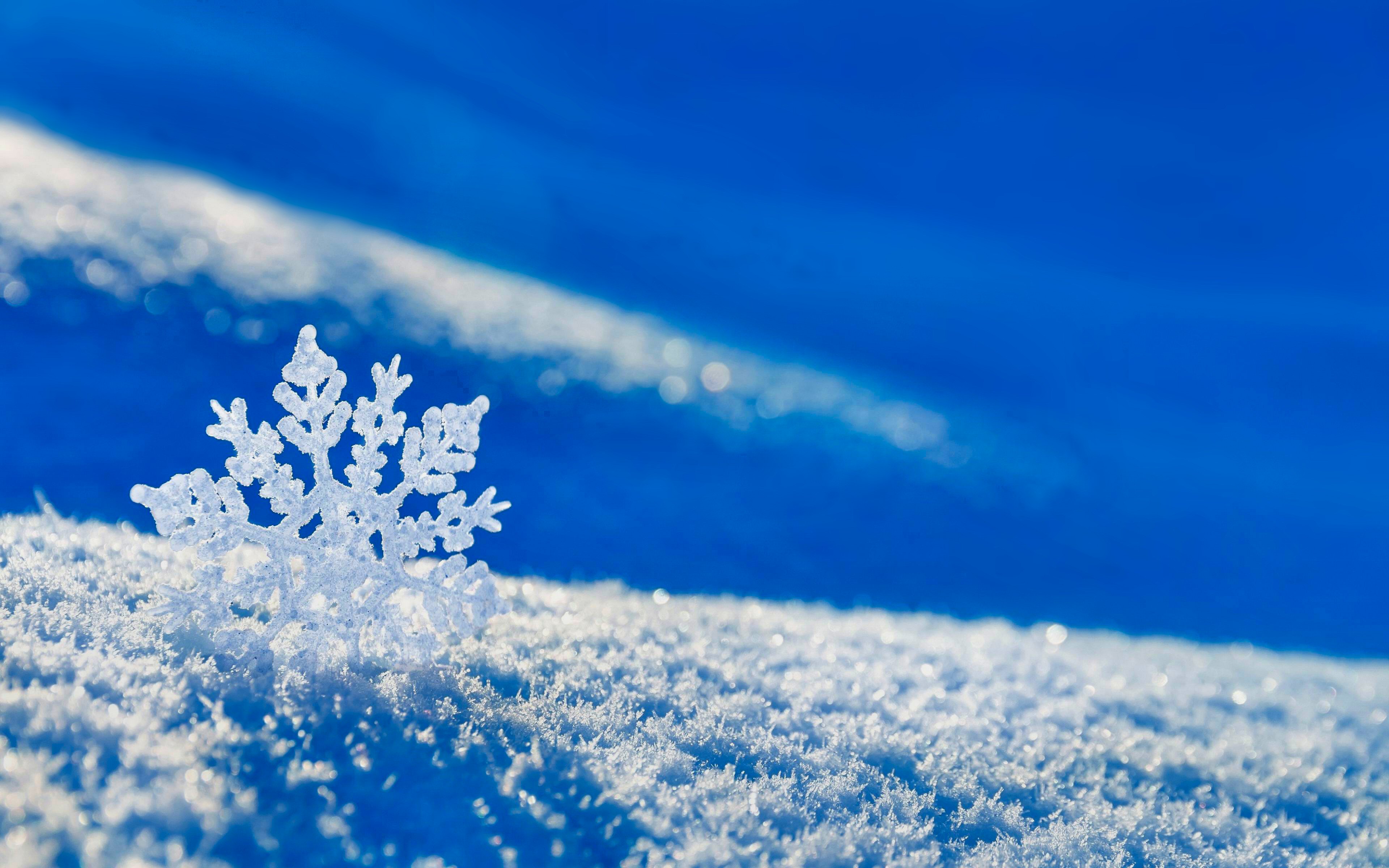 snowflake, snow, winter, nature, earth, white