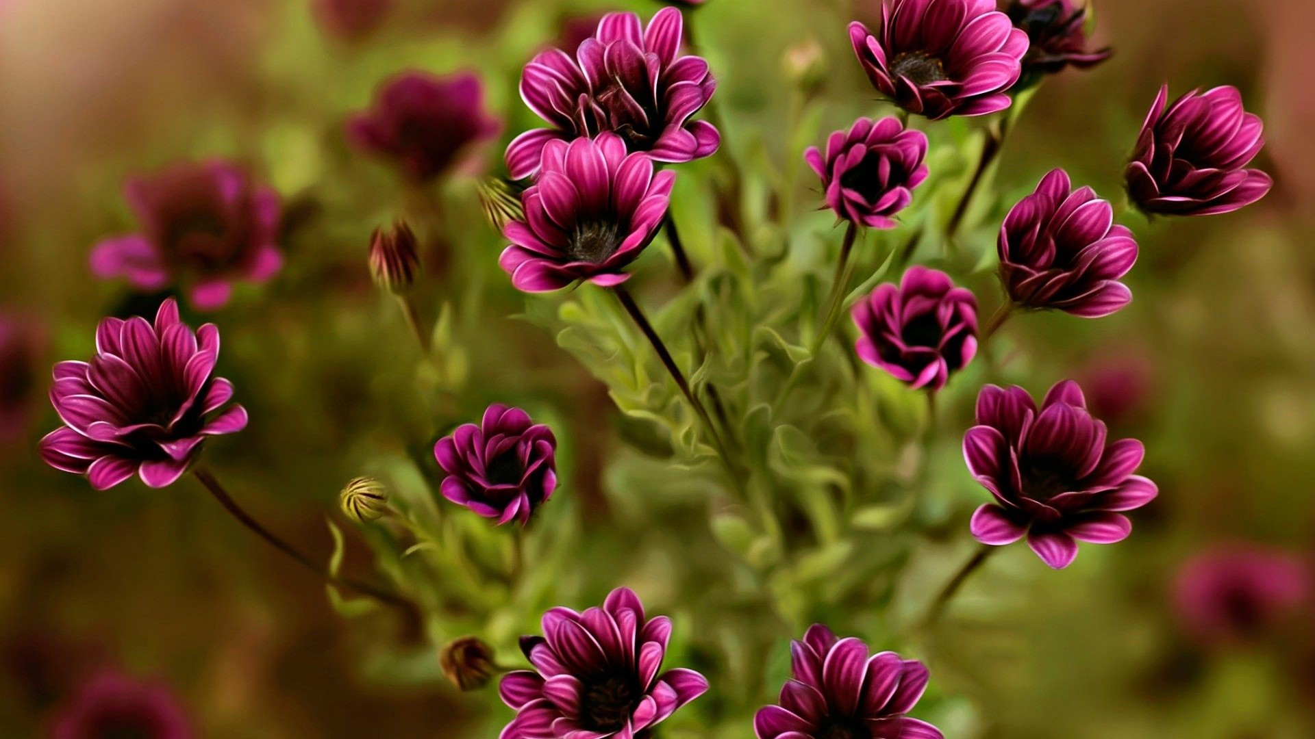 Download mobile wallpaper Nature, Flowers, Flower, Close Up, Earth, Purple Flower for free.