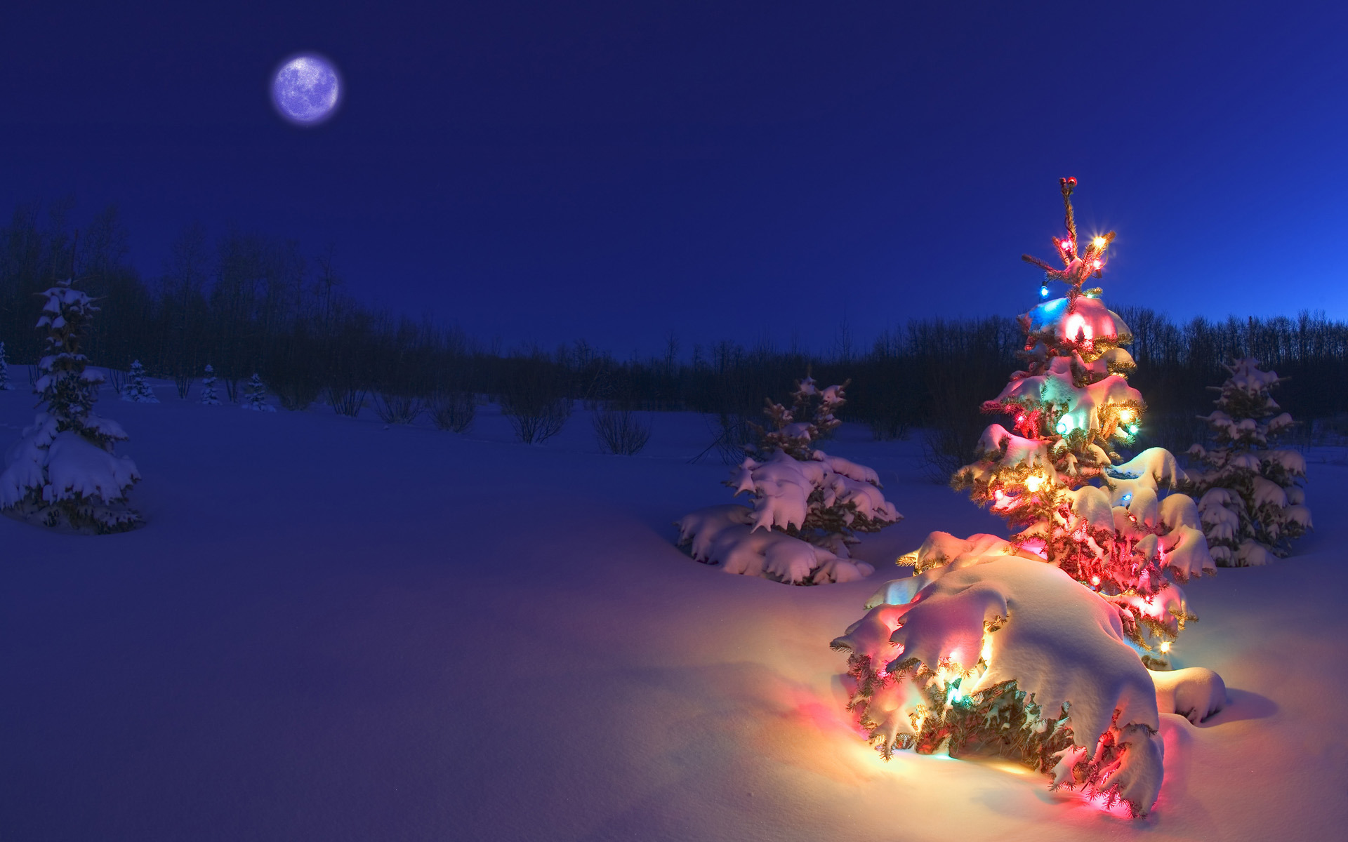 Free download wallpaper New Year, Fir Trees, Winter, Pictures, Christmas Xmas on your PC desktop