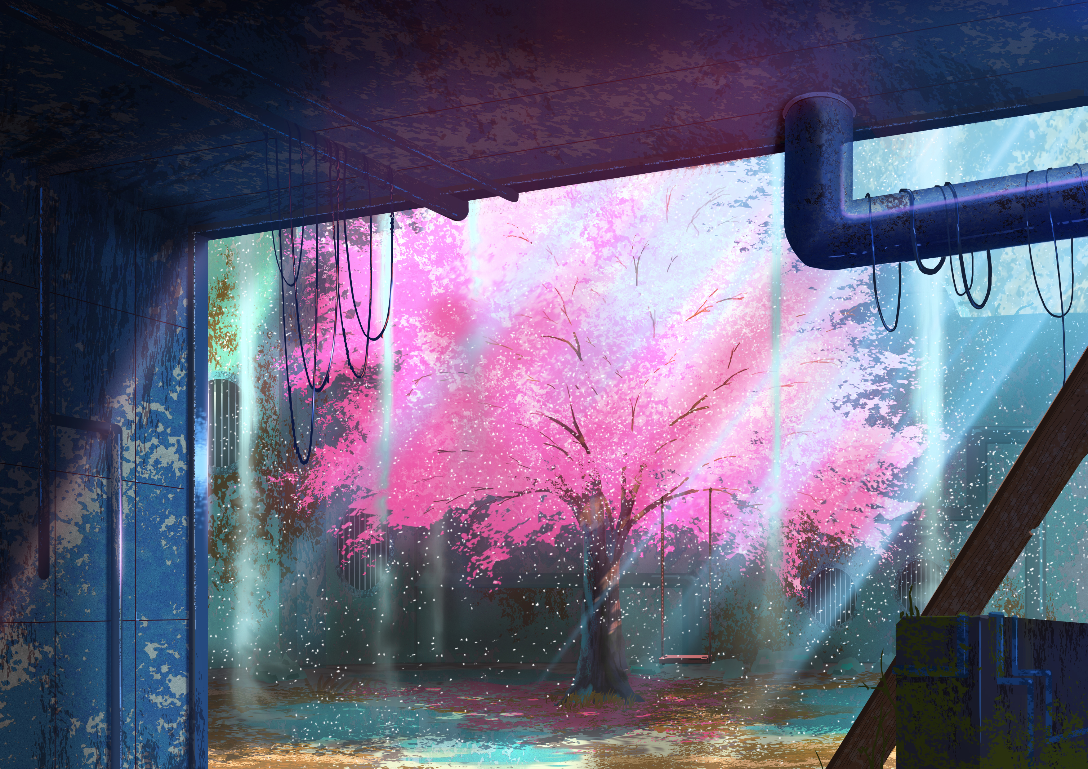 Sakura Tree  Other  Anime Background Wallpapers on Desktop Nexus Image  2123714