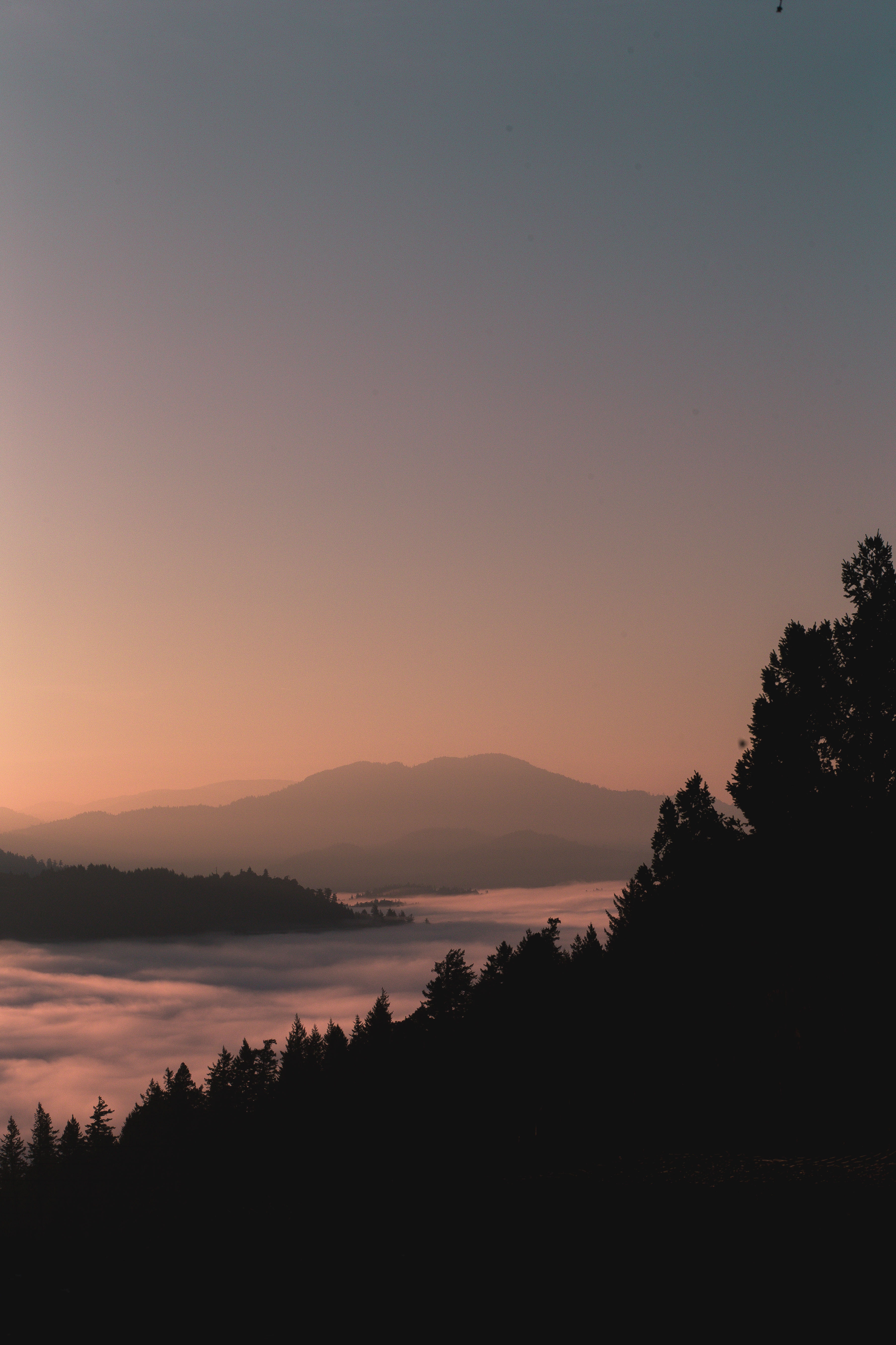 mountains, outlines, nature, twilight, forest, fog, dusk cellphone