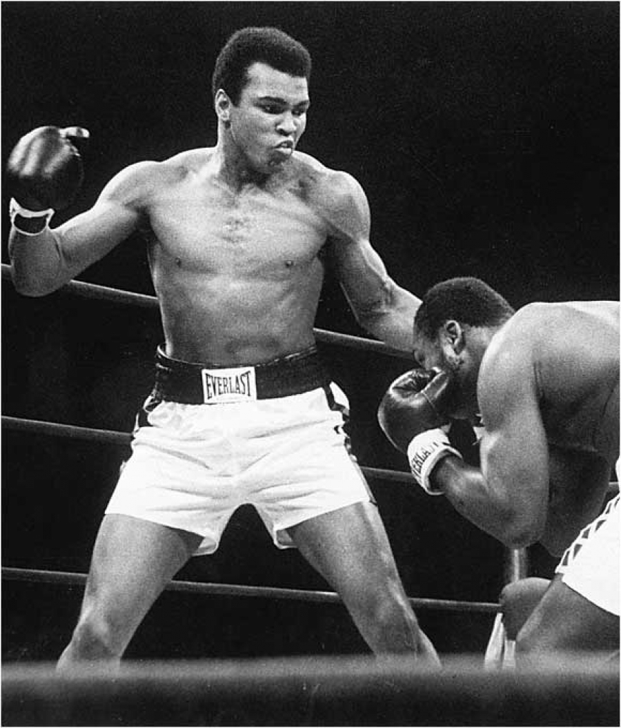 Скачать картинку Мухаммед Али (Muhammad Ali), Бокс, Спорт, Люди, Мужчины в телефон бесплатно.