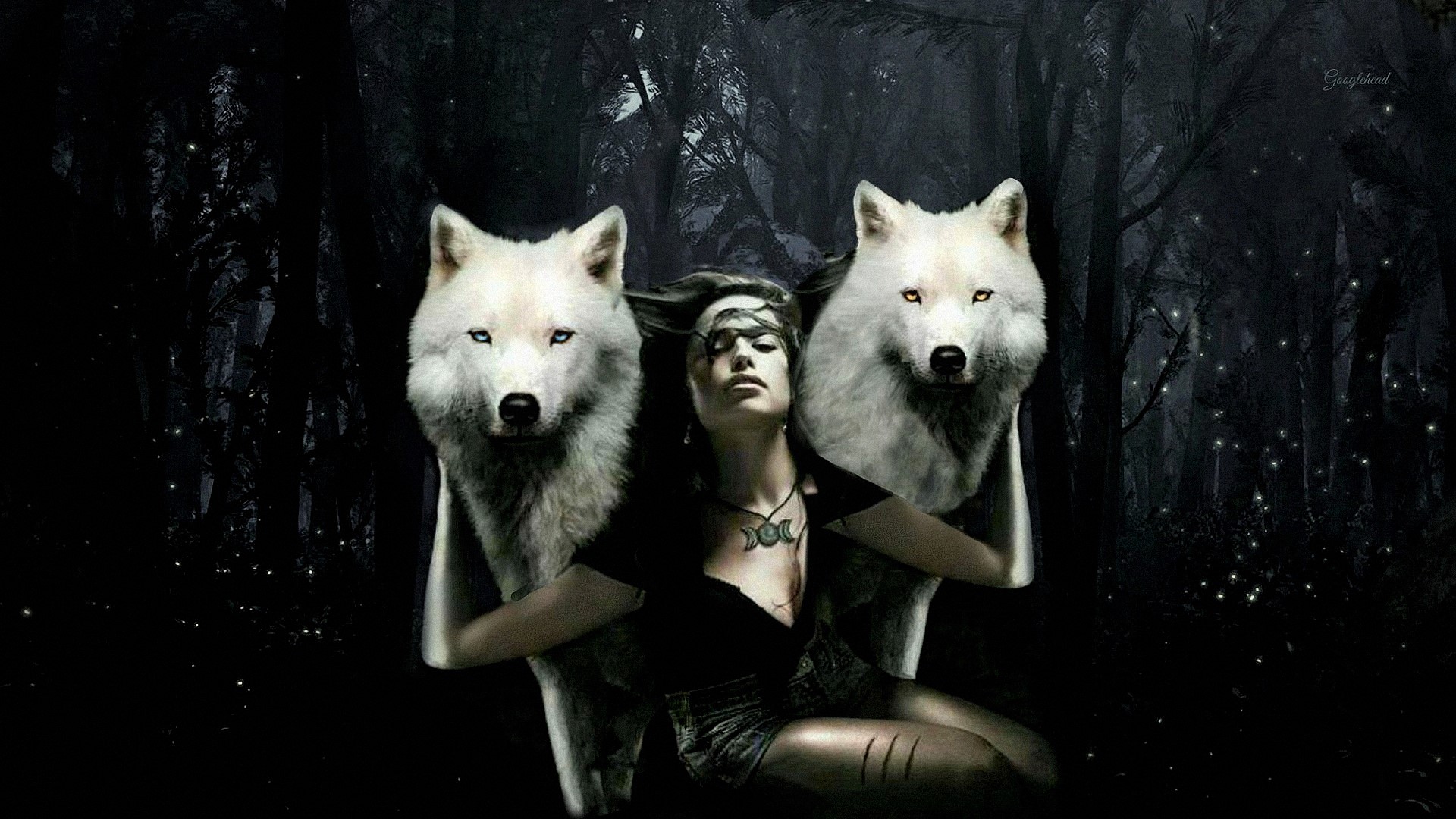 Free download wallpaper Forest, Wolf, Photoshop, Artistic, White Wolf, Manipulation on your PC desktop