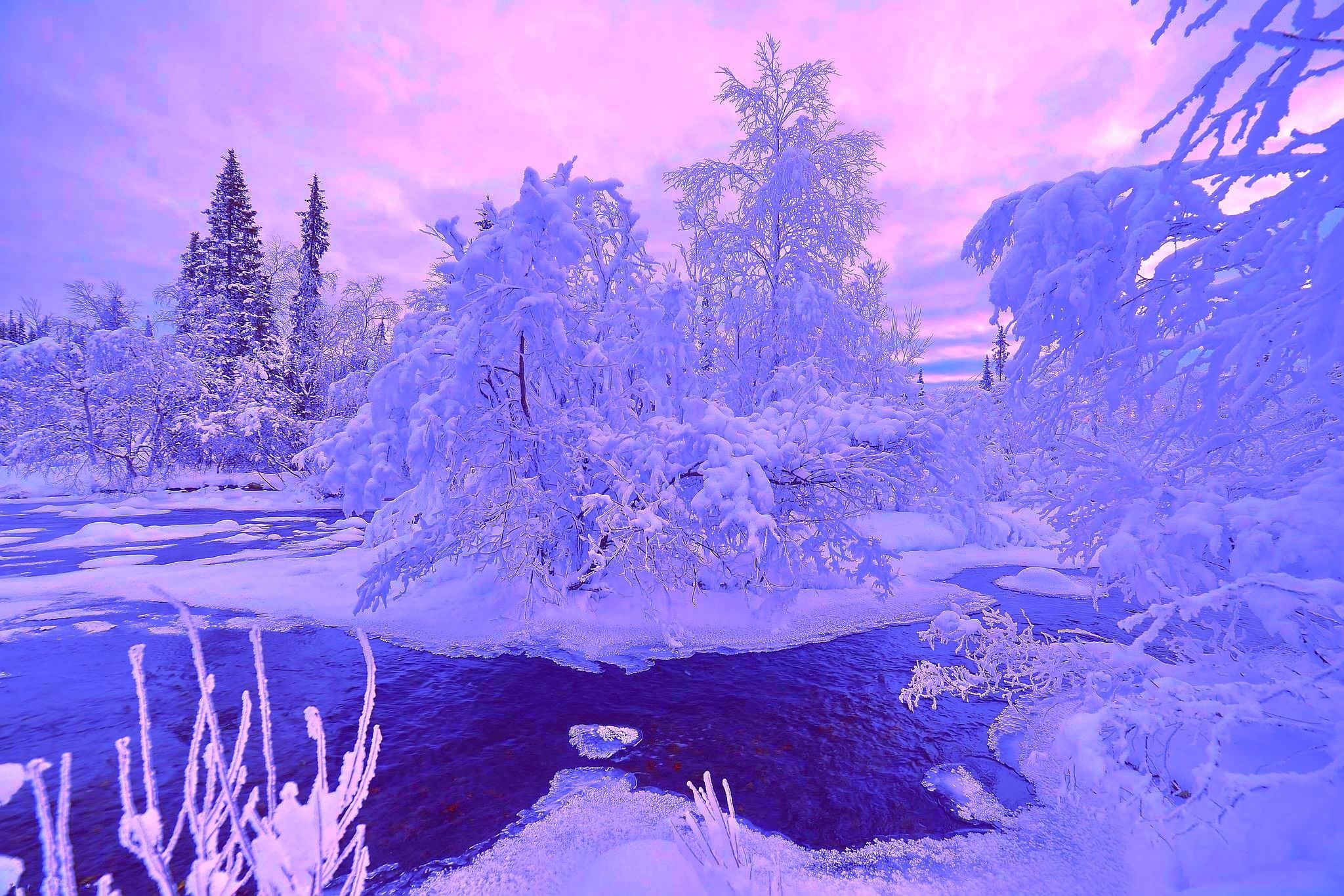 Зимний пейзаж в фиолетовых тонах