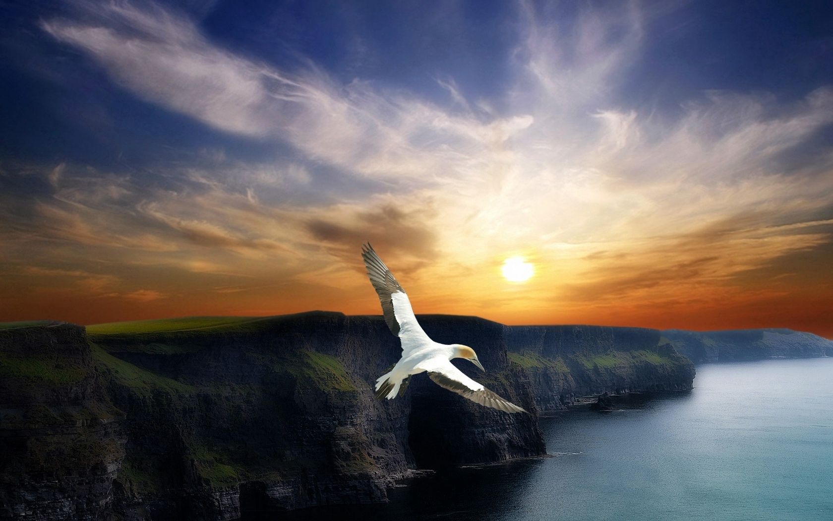 Download mobile wallpaper Evening, Mountains, Flight, Nature, Bird, Sunset, Wings for free.