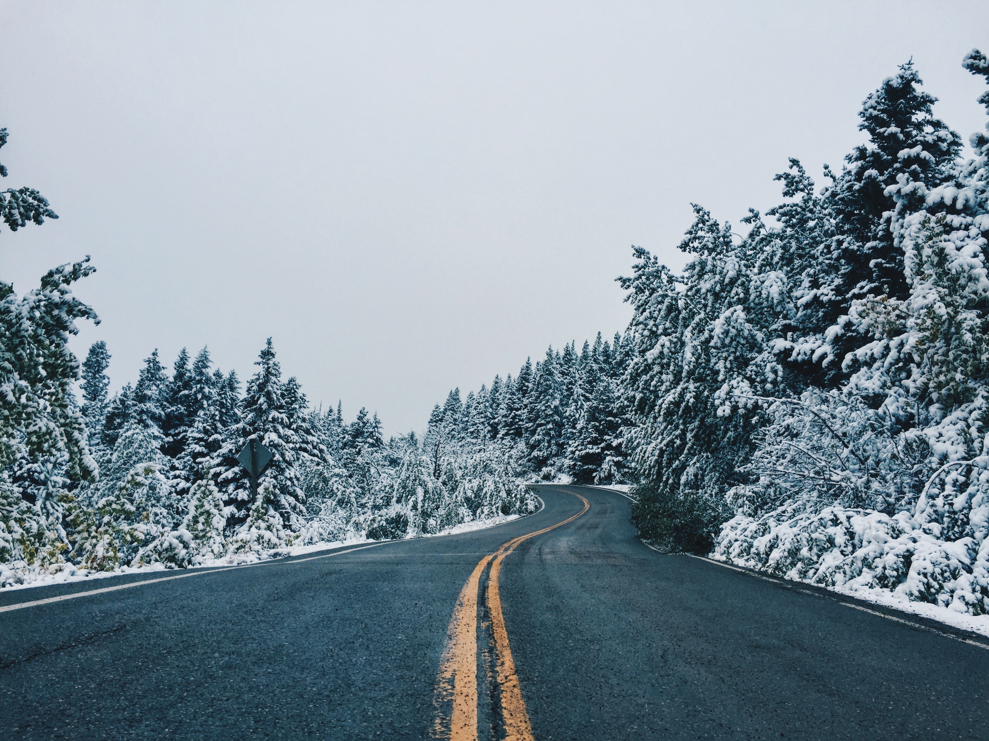nature, trees, snow, road, snow covered, snowbound, dahl, distance, winding, sinuous