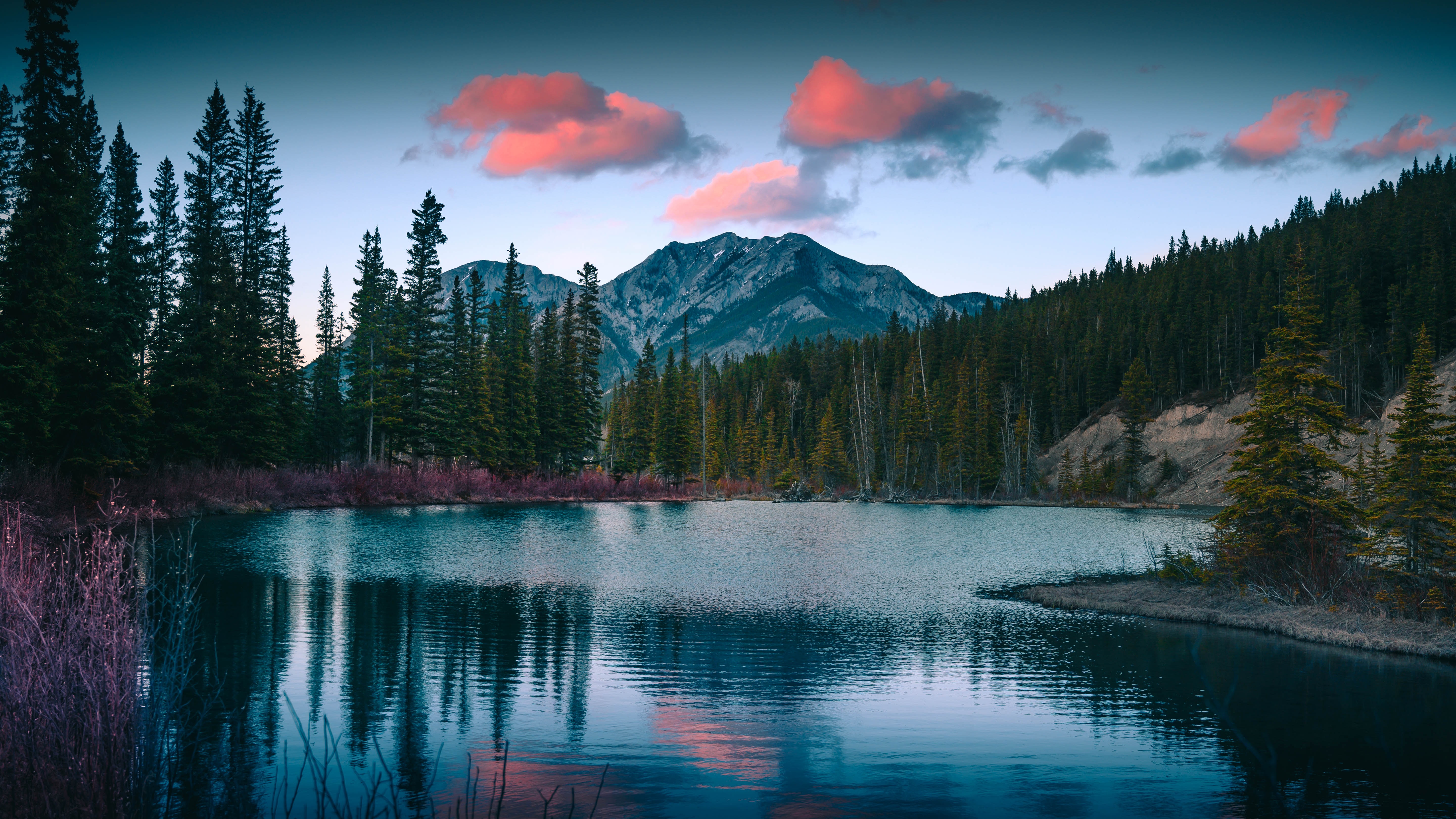 在您的 PC 桌面上免費下載 景观, 性质, 山, 湖景, 森林, 湖 圖片