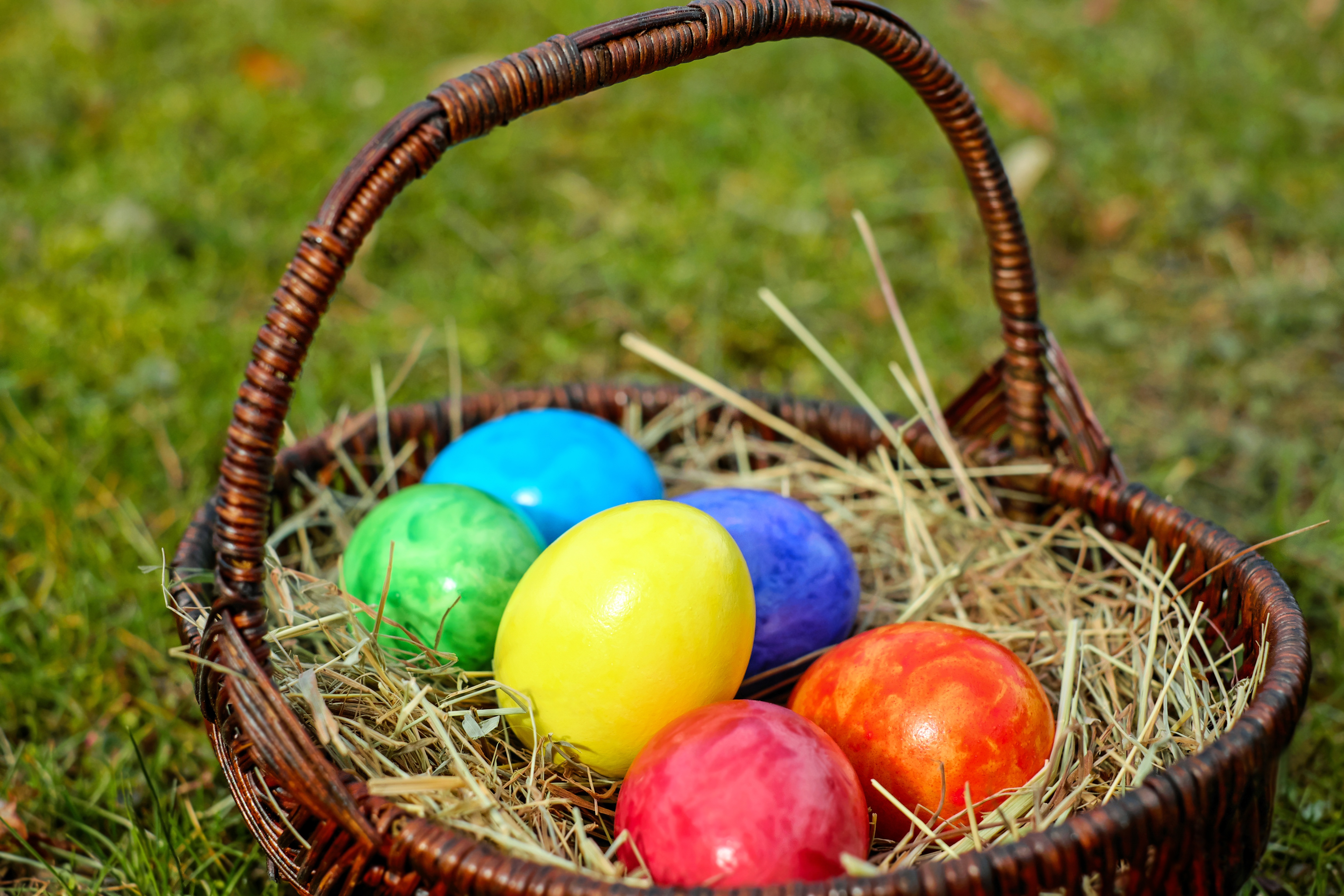 eggs, holidays, easter, basket, hay