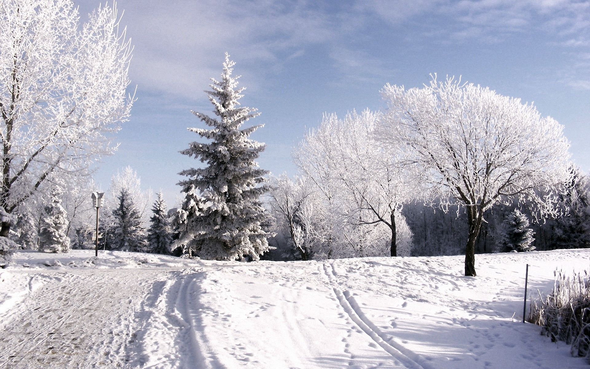 87377 скачать картинку деревья, зима, снег, подъем, природа, небо, иней, следы, тучи, лыжня - обои и заставки бесплатно