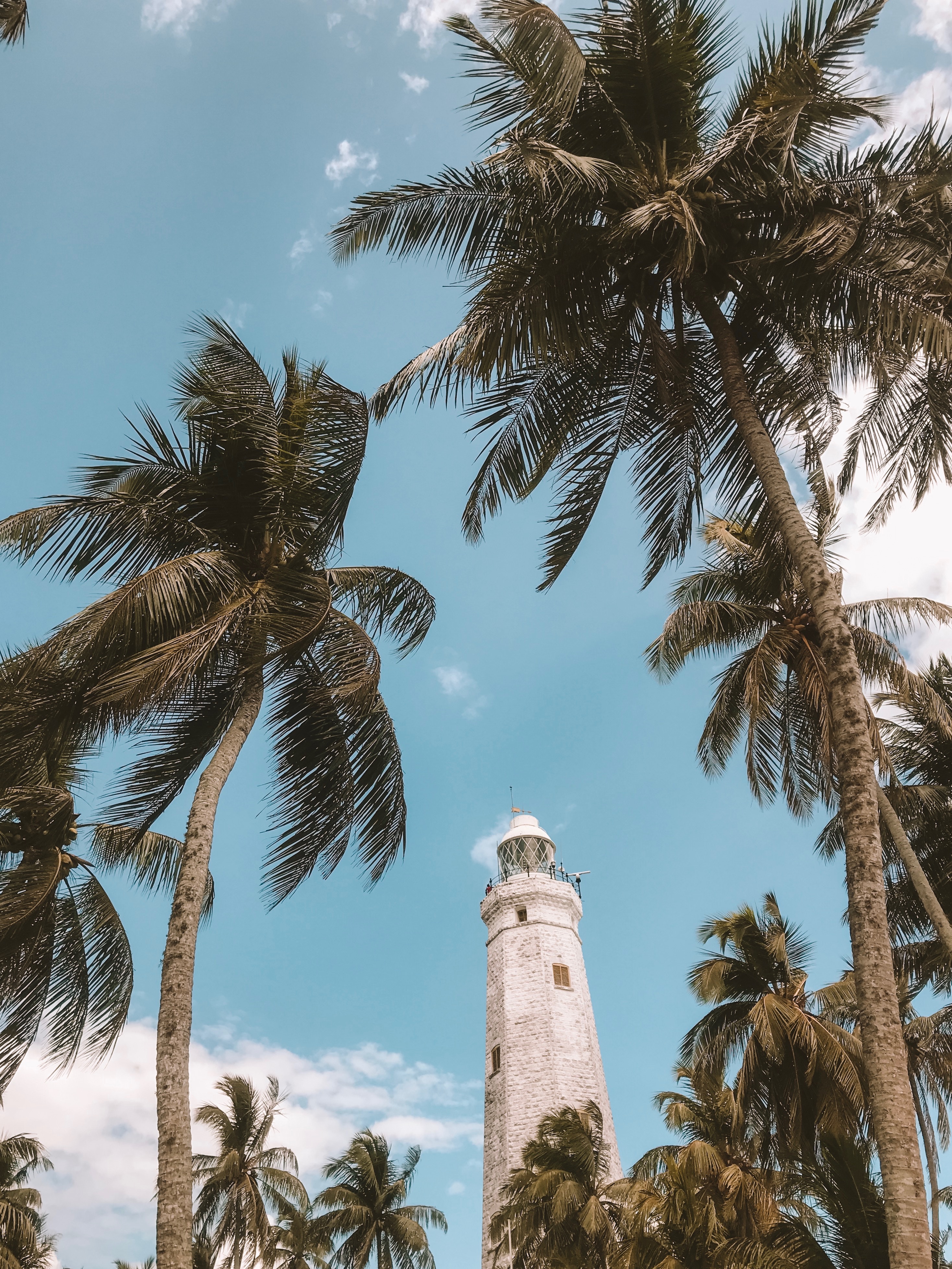 Free download wallpaper Nature, Sky, Palms, Wind, Lighthouse, Tropics on your PC desktop
