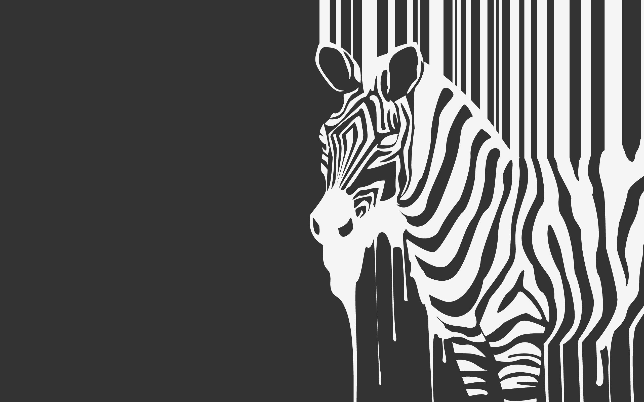 minimalism, zebra, stripes, beast, strips, flows, flowing