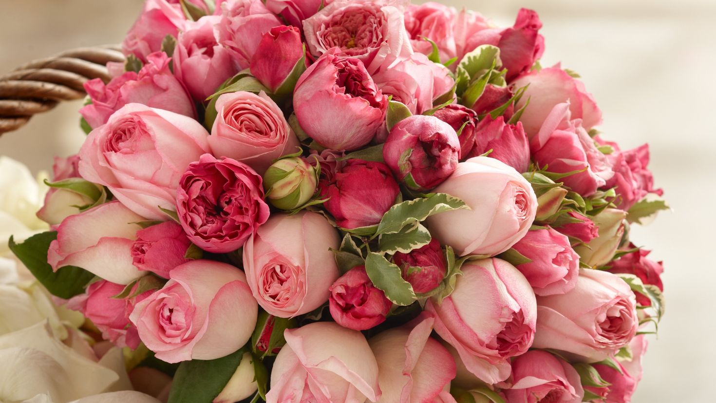 Букет цветов картинки красивые с пожеланиями. Пионовидные тюльпаны букет. Букет шикарный. Шикарные цветы.