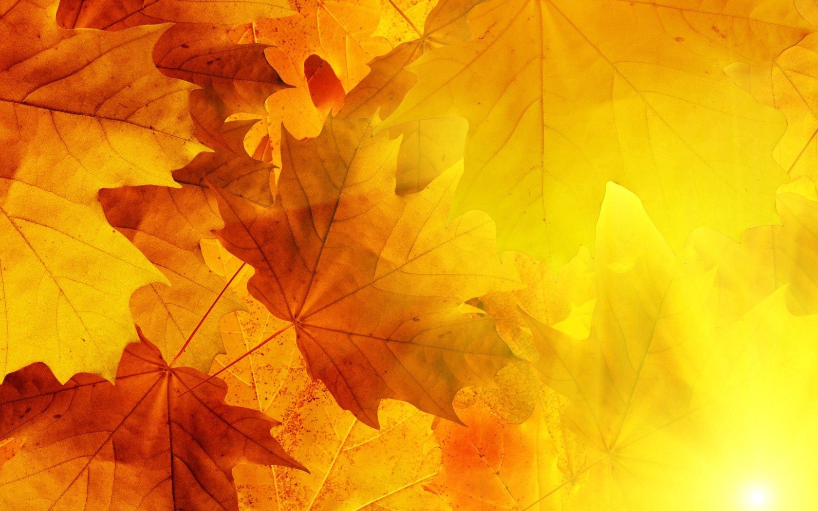 фоновые картинки осень