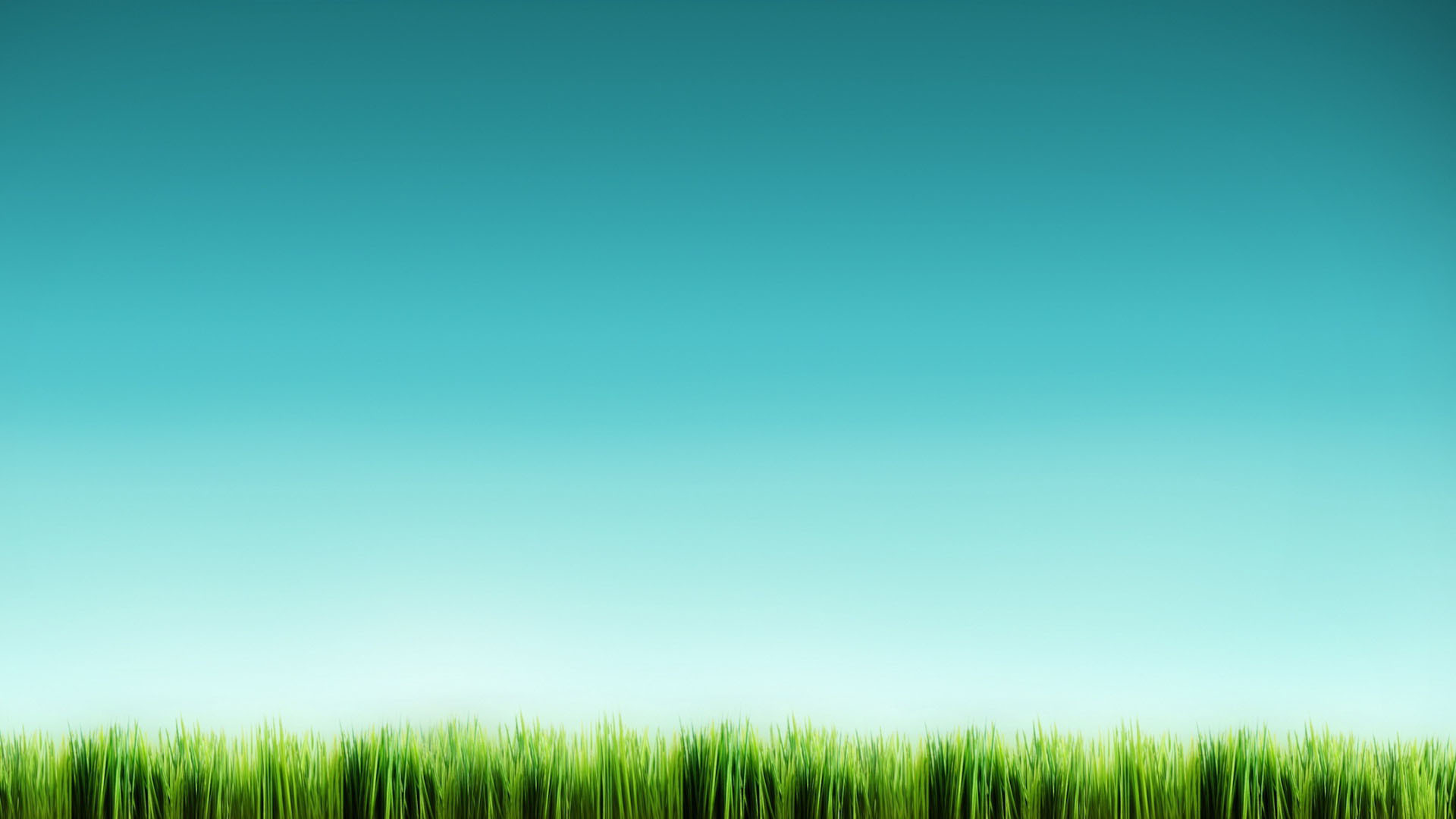 Handy-Wallpaper Grass, Sky, Hintergrund kostenlos herunterladen.