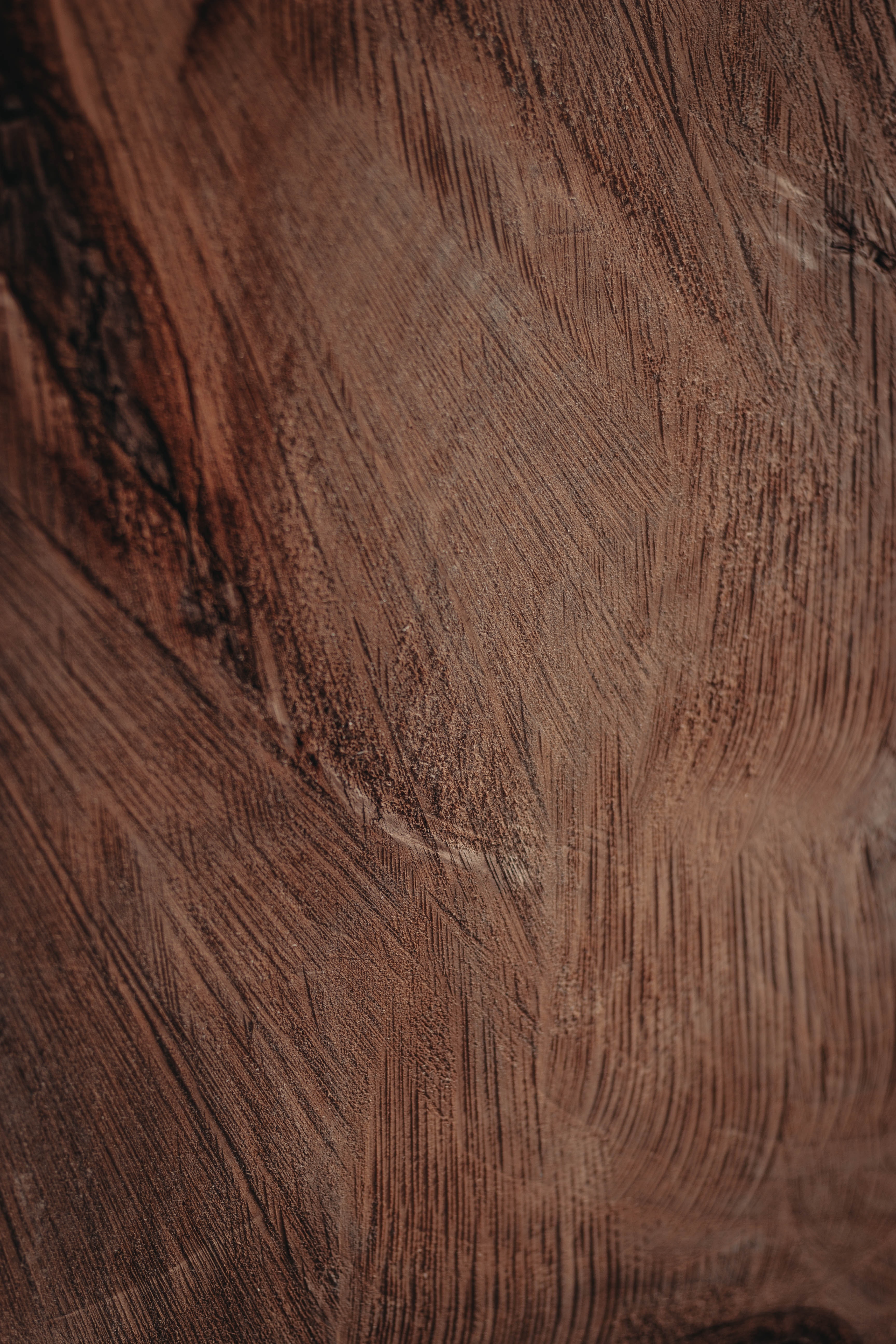 99187 baixar imagens madeira, árvore, textura, texturas, castanho, marrom, superfície, duro, áspero - papéis de parede e protetores de tela gratuitamente