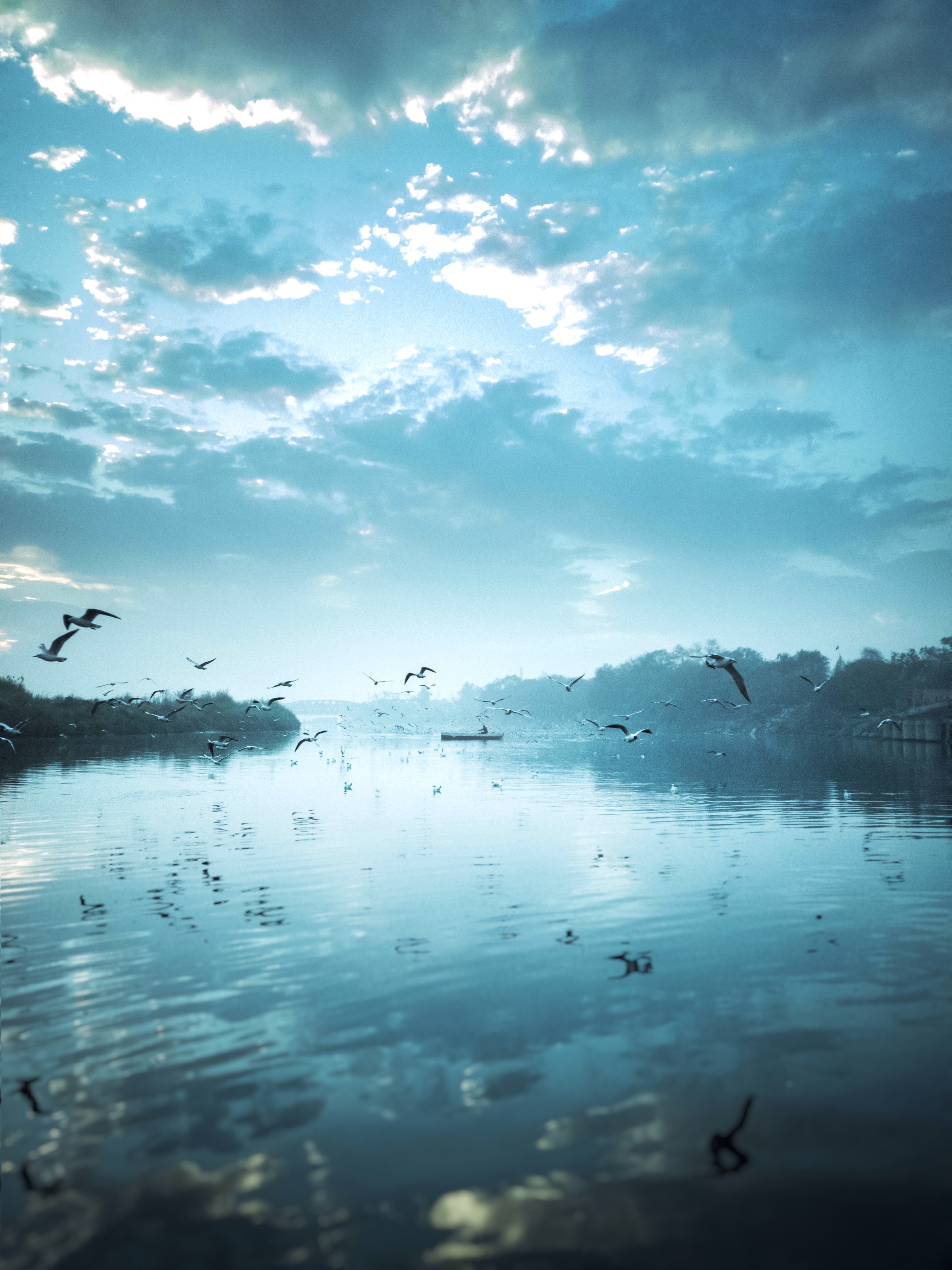 nature, birds, rivers, sky, reflection, boat, flock, fly, to fly