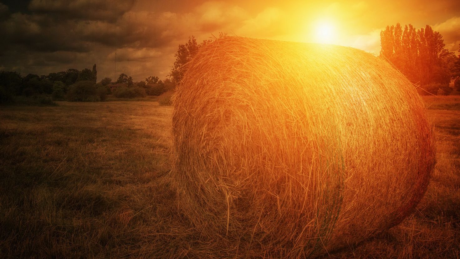 Осеннее сено. Ван Гог стога сена. Скирда омёт копна. Сено солнце. Стоги сена в поле.