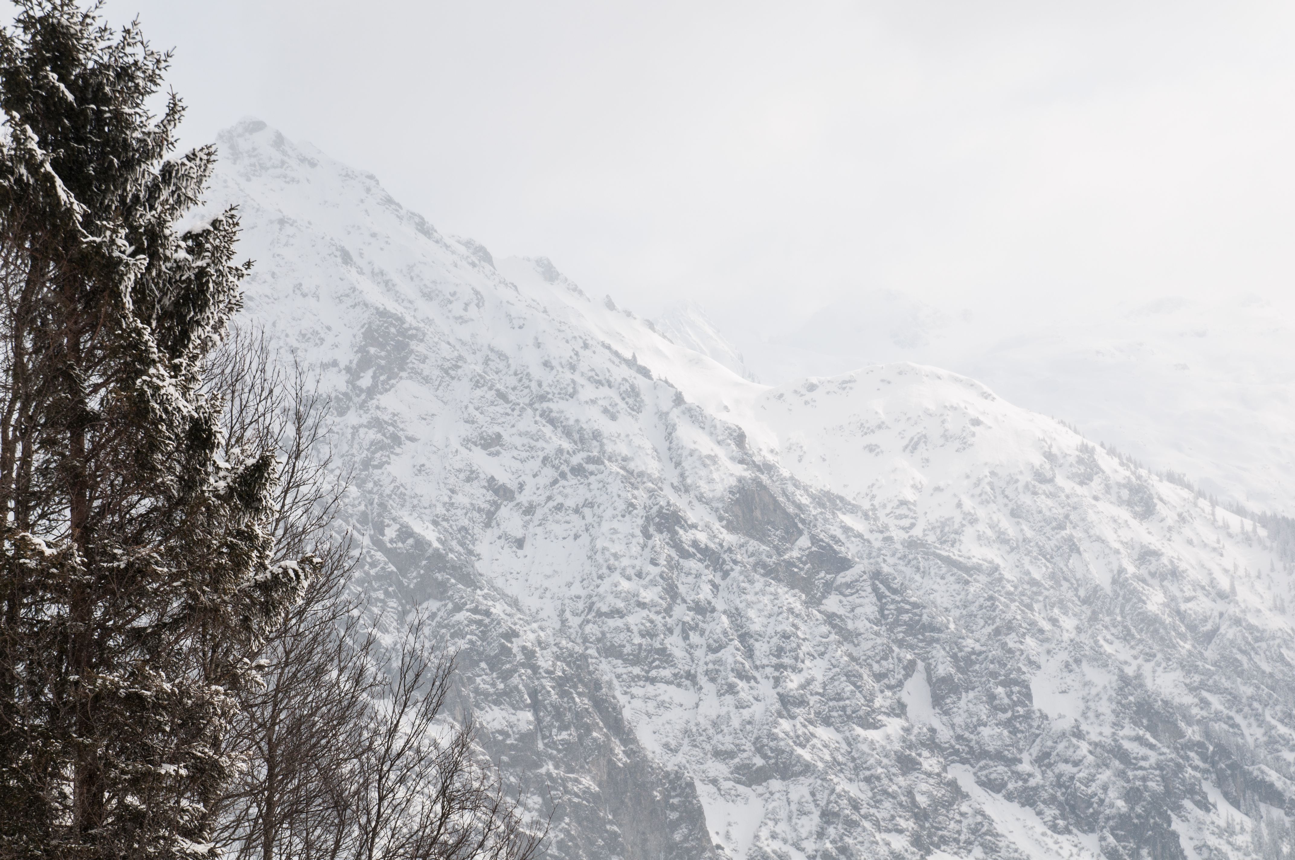 113599壁紙のダウンロード冬, 自然, 木, 雪, 山, スロープ, 坂-スクリーンセーバーと写真を無料で