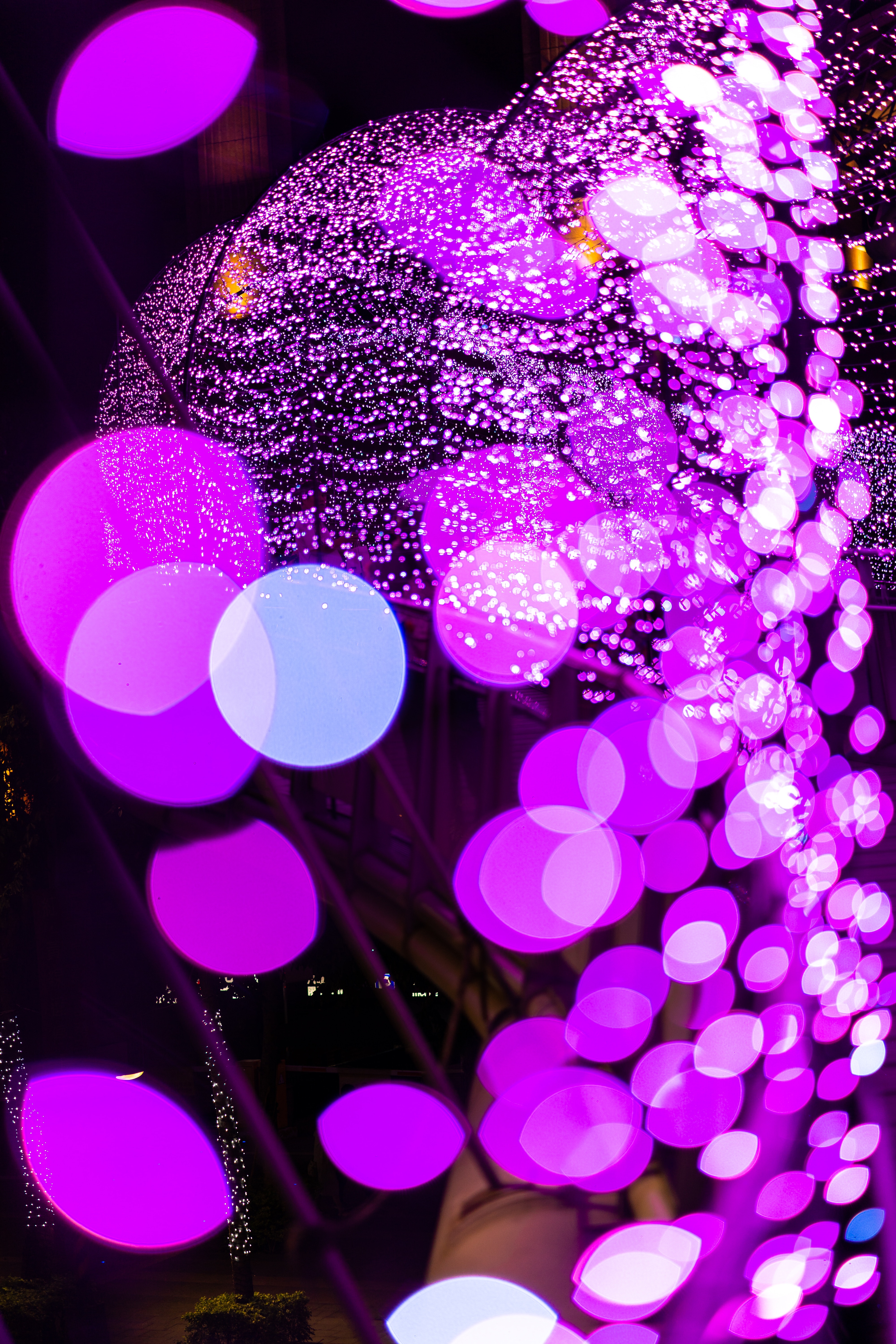 Free download wallpaper Violet, Miscellanea, Boquet, Glare, Miscellaneous, Bokeh, Circles, Purple on your PC desktop
