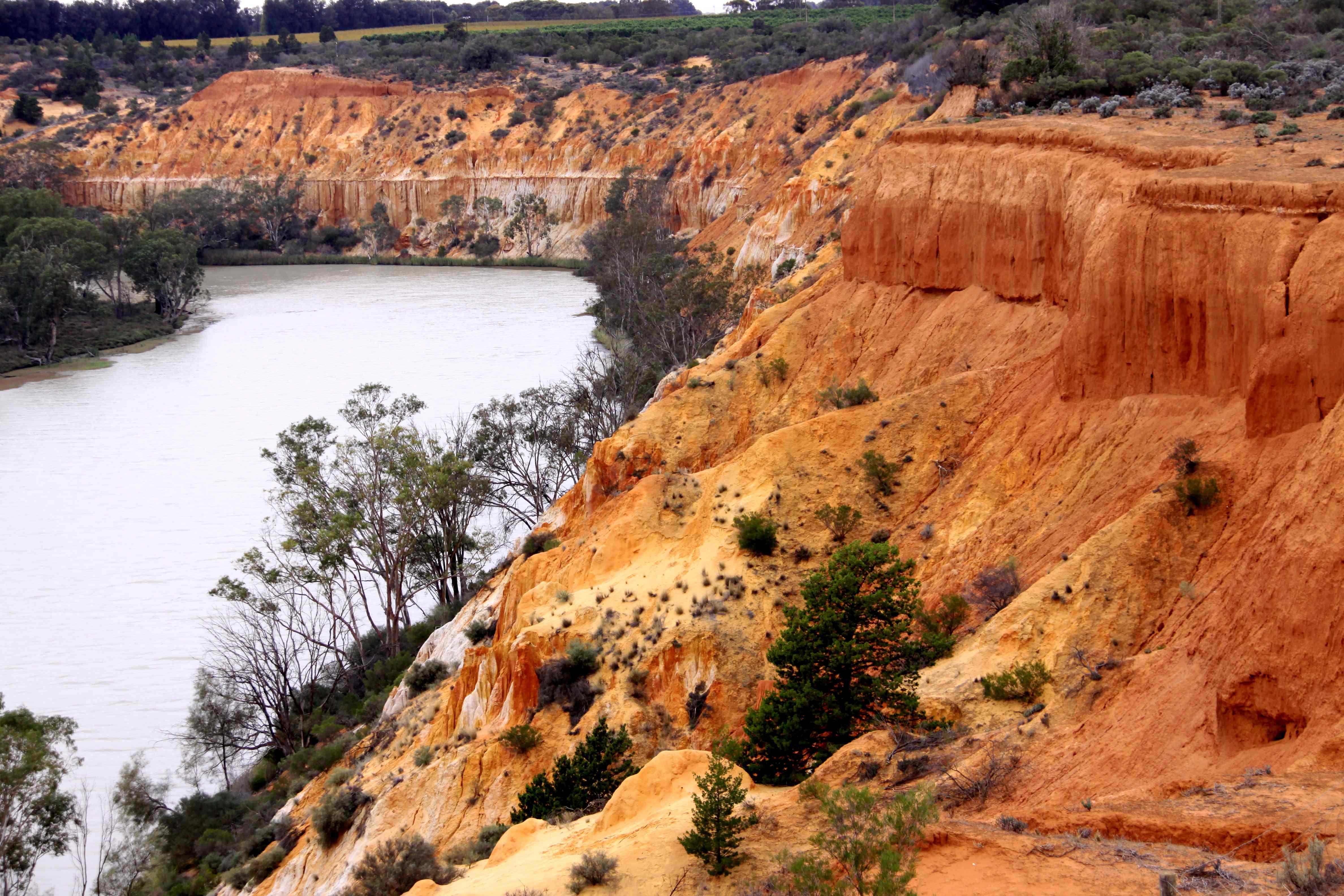 Фото реки муррей в австралии
