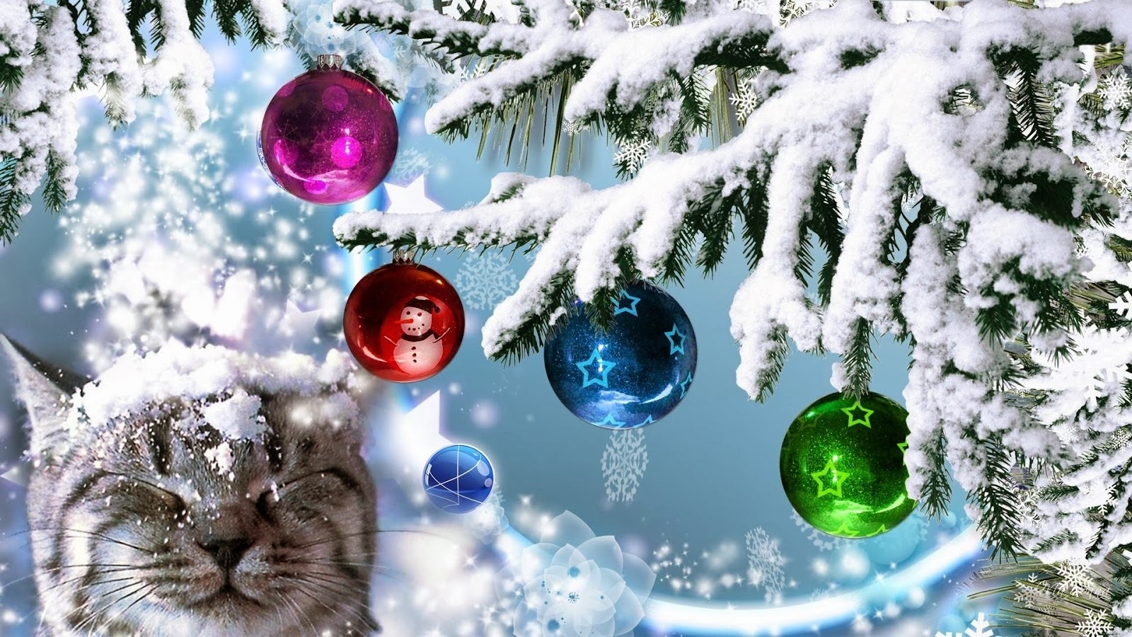 875017 Bild herunterladen feiertage, weihnachten, flitter, katze, farben, dekoration, schnee - Hintergrundbilder und Bildschirmschoner kostenlos
