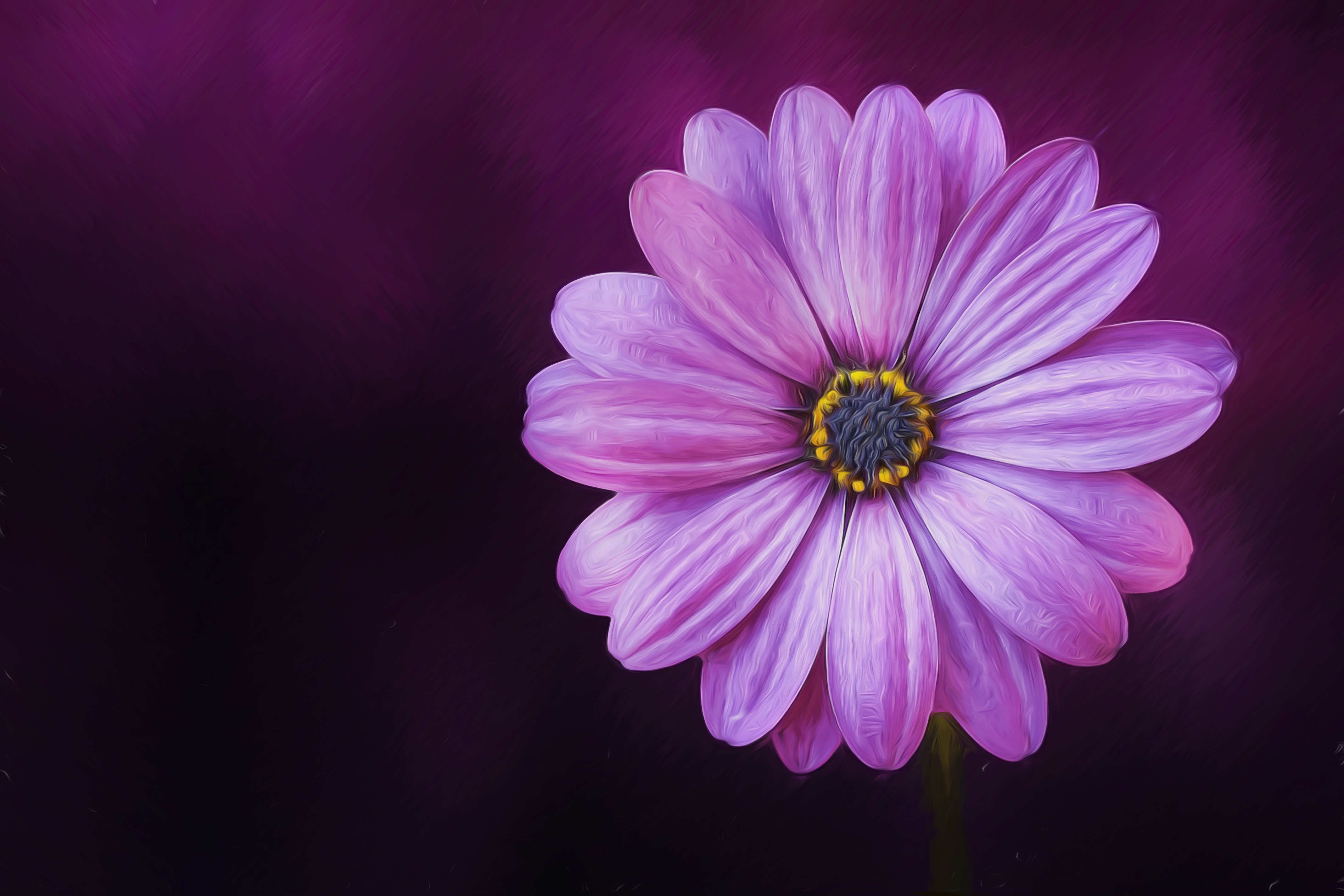 purple flower, daisy, earth, african daisy, flower, nature, oil painting, painting 4K Ultra