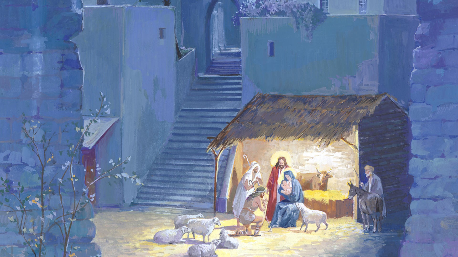  Nativity Windows Backgrounds