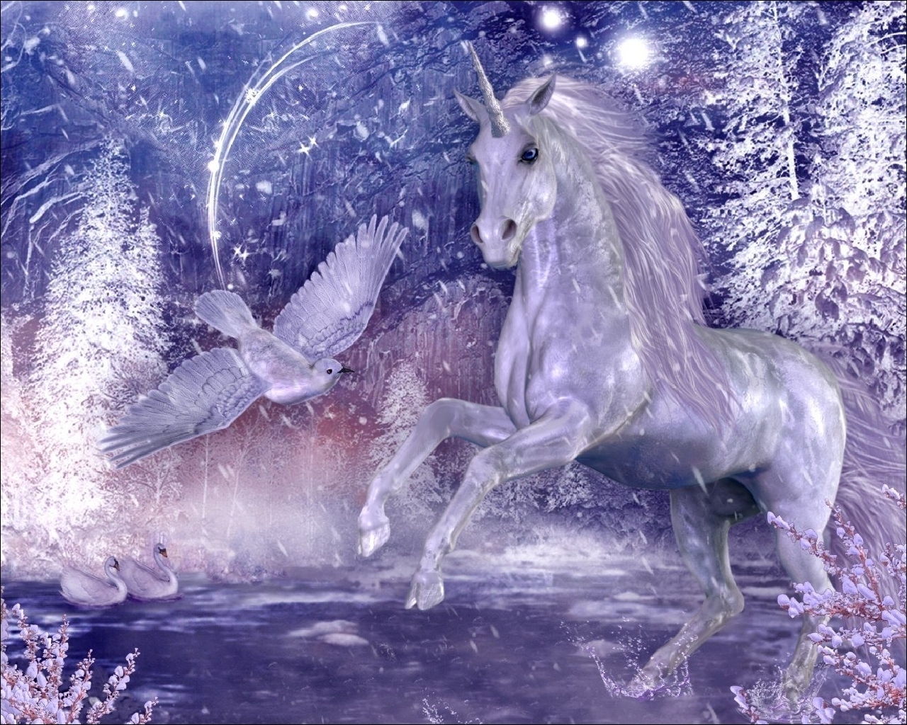 unicorn, fantasy mobile wallpaper