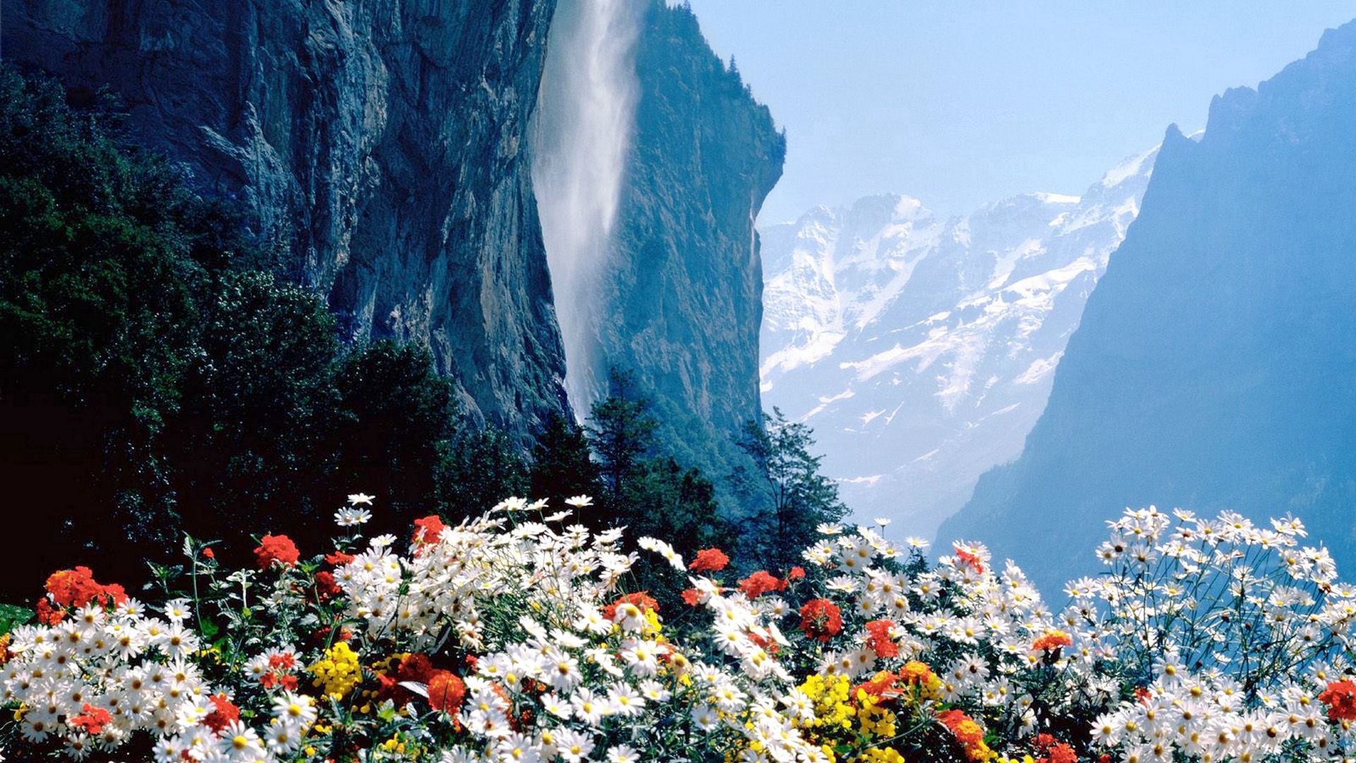 94469 завантажити шпалери гори, природа, квіти, обрив, обриву - заставки і картинки безкоштовно