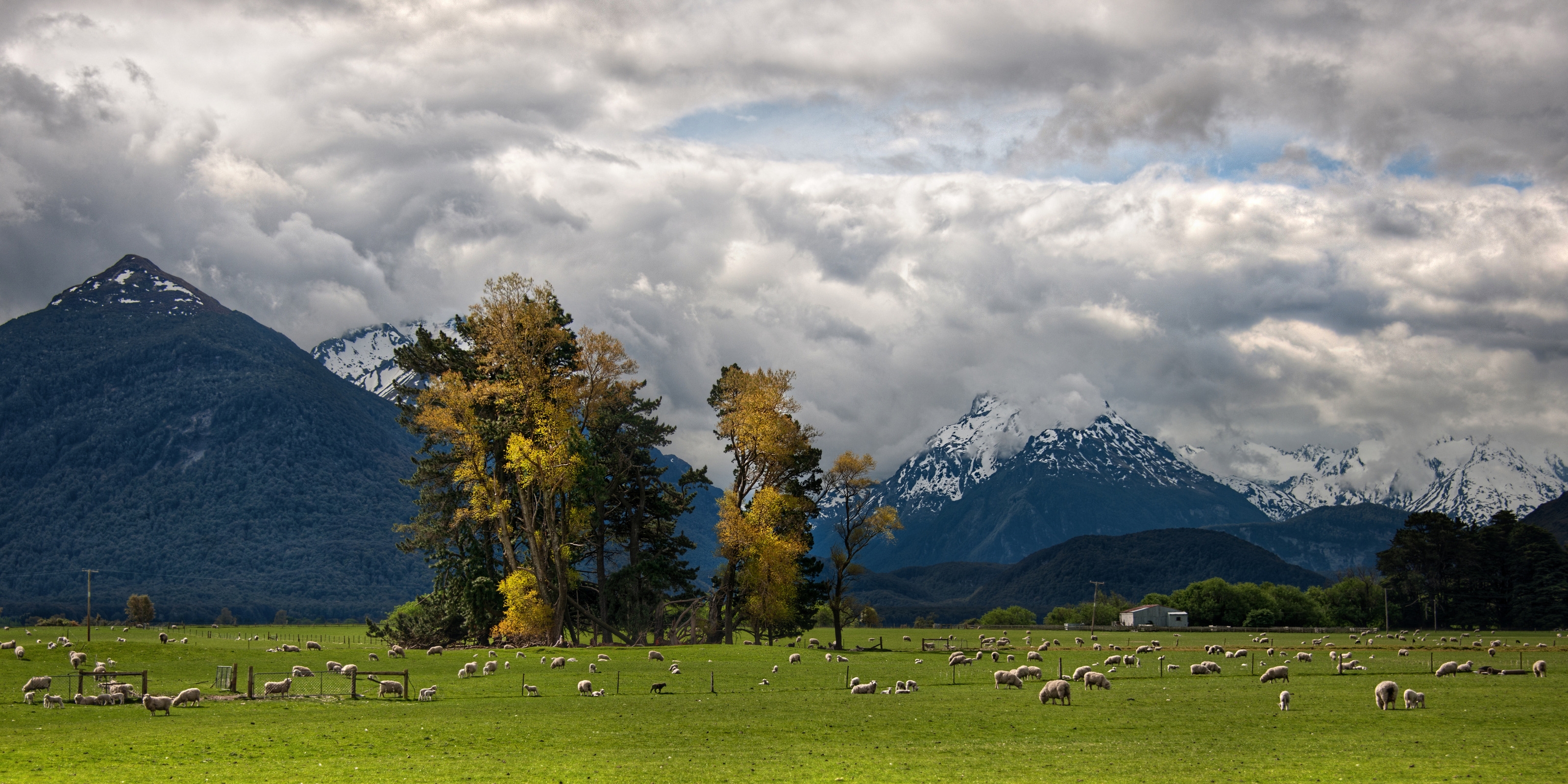 150169壁紙のダウンロード雲, 自然, スカイ, 山脈, 足, アルプス, アルプス山脈, 谷, 牧草, 牧草地, 羊-スクリーンセーバーと写真を無料で