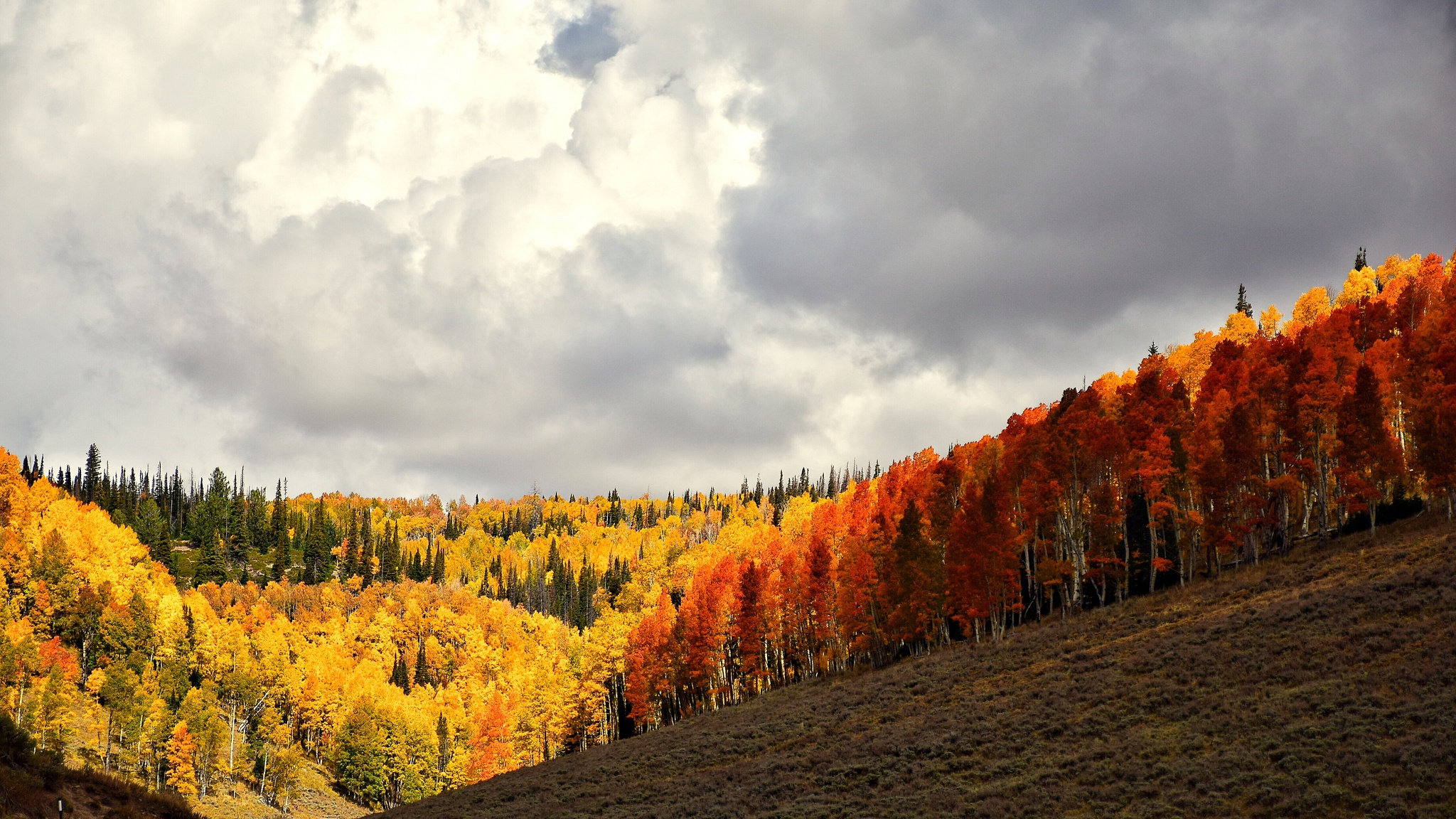Осенний лес Башкирии