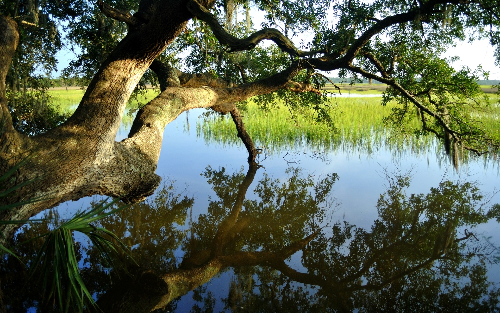 44269 descargar imagen lagos, paisaje, naturaleza, árboles: fondos de pantalla y protectores de pantalla gratis