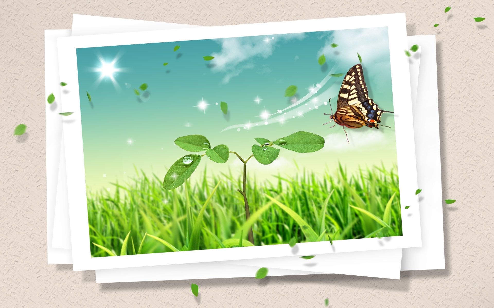 Download mobile wallpaper Plants, Grass, Insects, Butterflies for free.