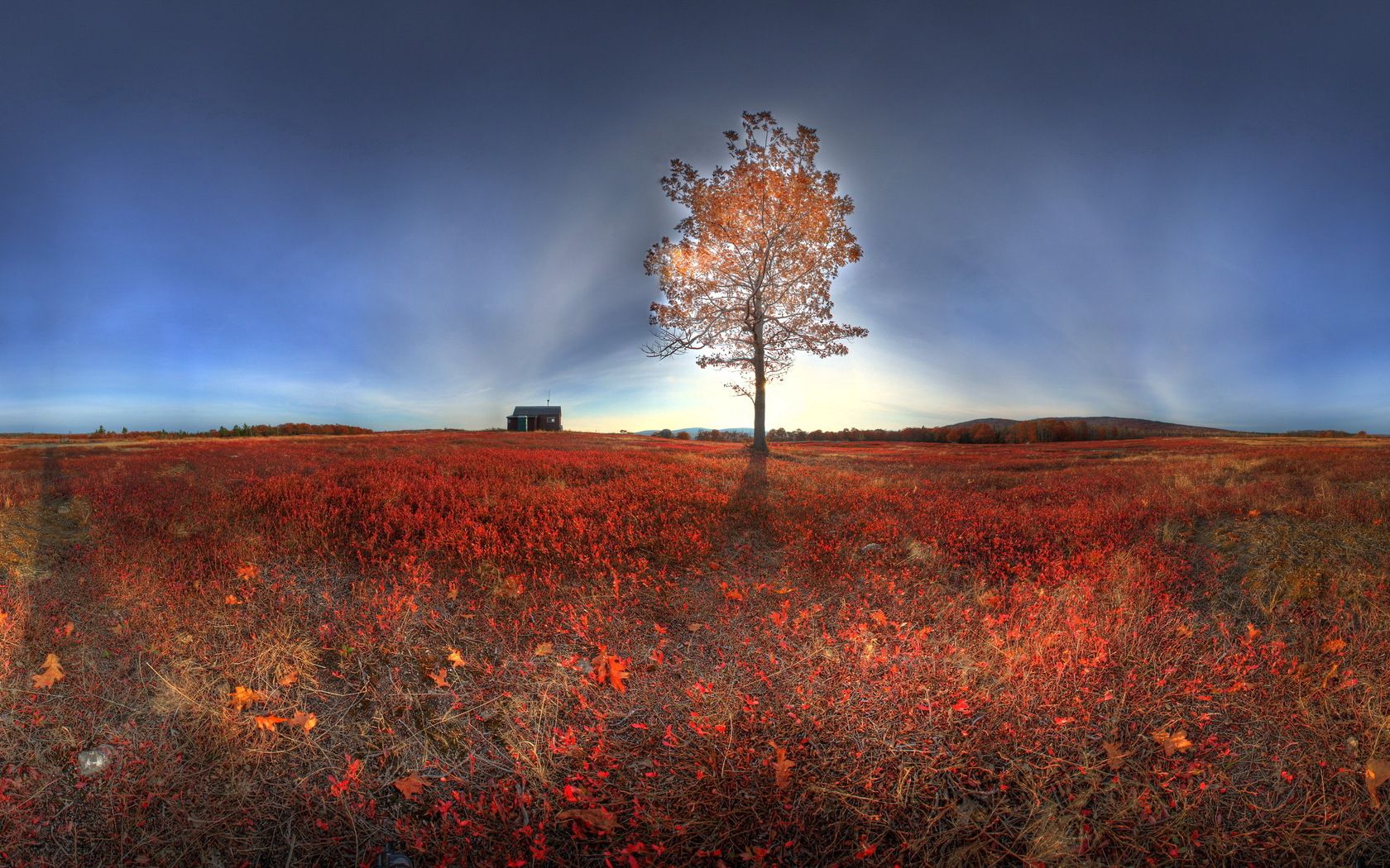Download mobile wallpaper Nature, Autumn, Wood, Tree, Shine, Light, Landscape for free.
