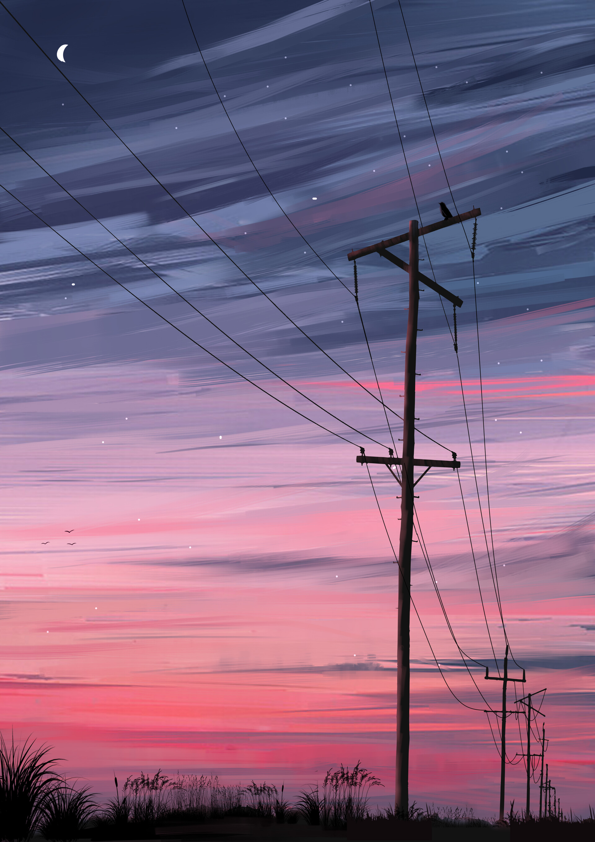 art, night, wires, pillars, posts, wire Phone Background