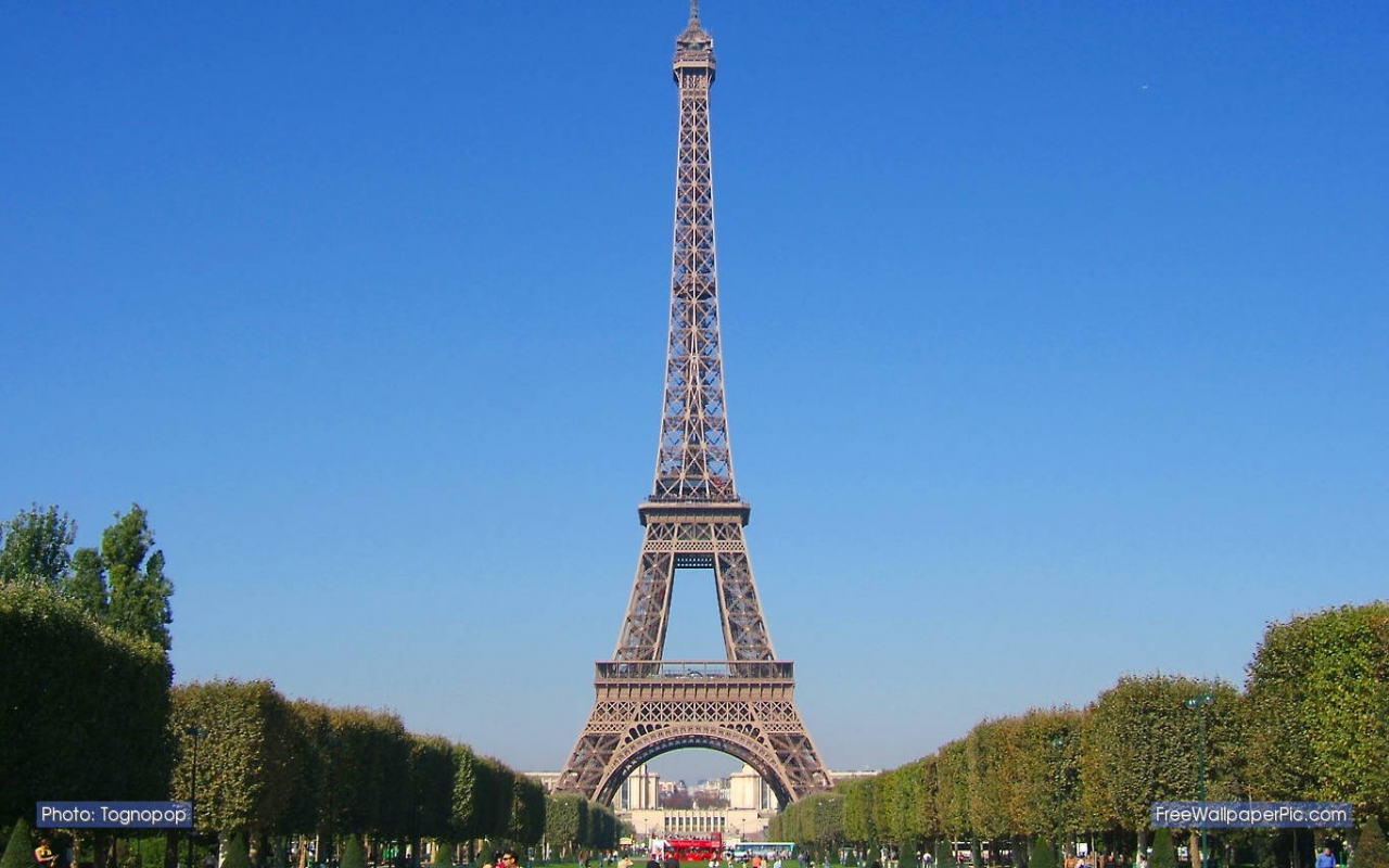 1439623 Salvapantallas y fondos de pantalla Torre Eiffel en tu teléfono. Descarga imágenes de  gratis