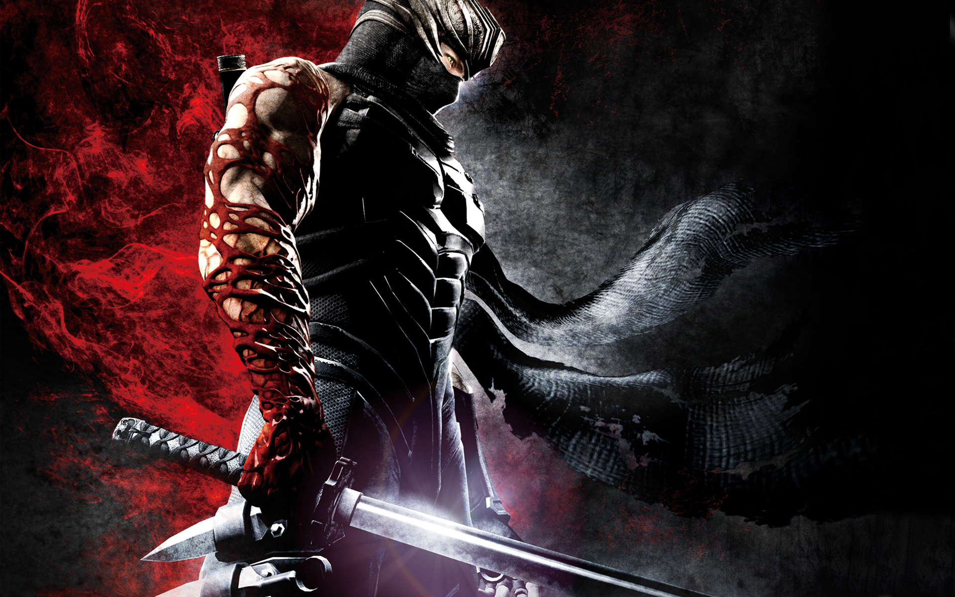Ninja Gaiden HD download for free