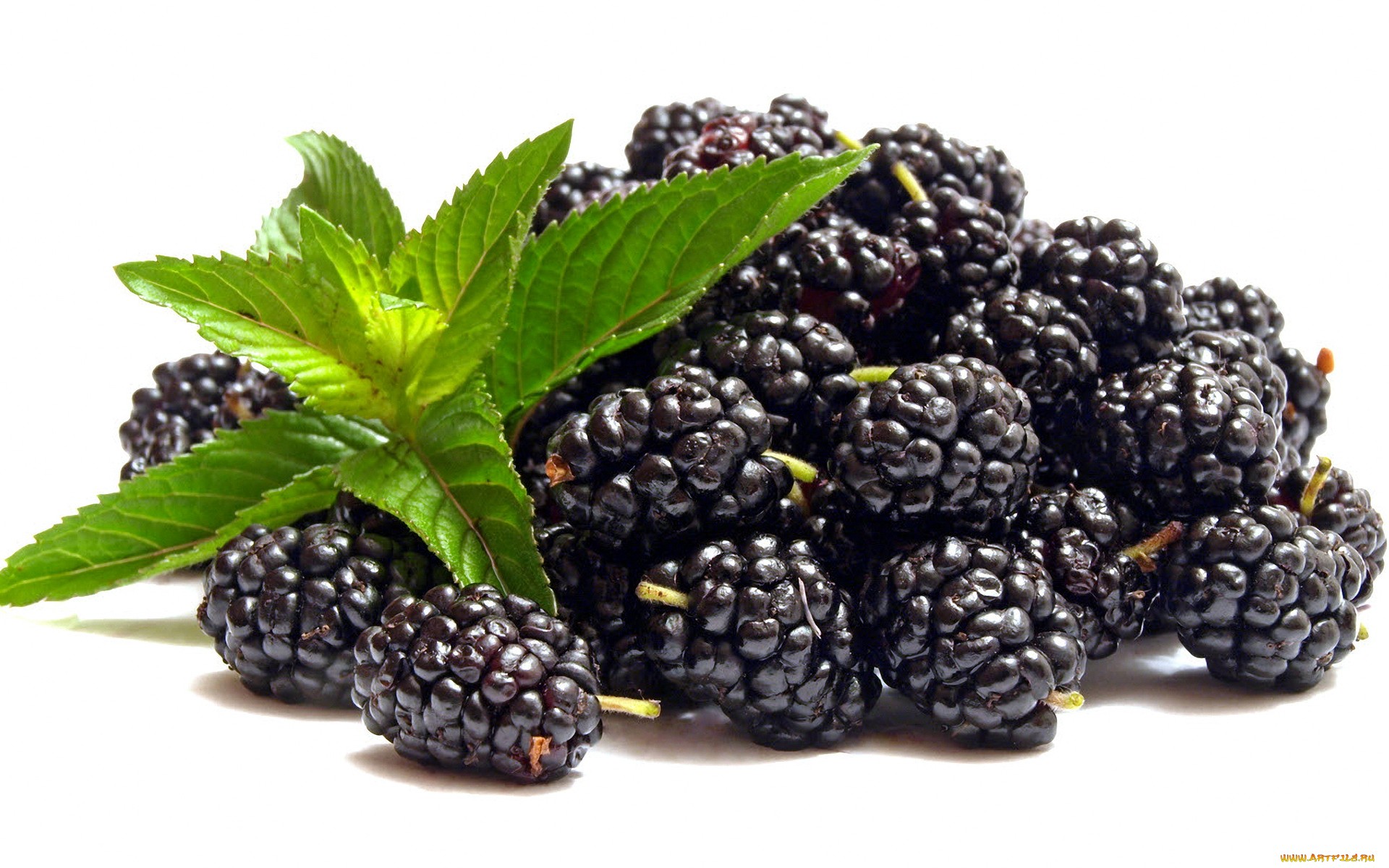 blackberry, food iphone wallpaper