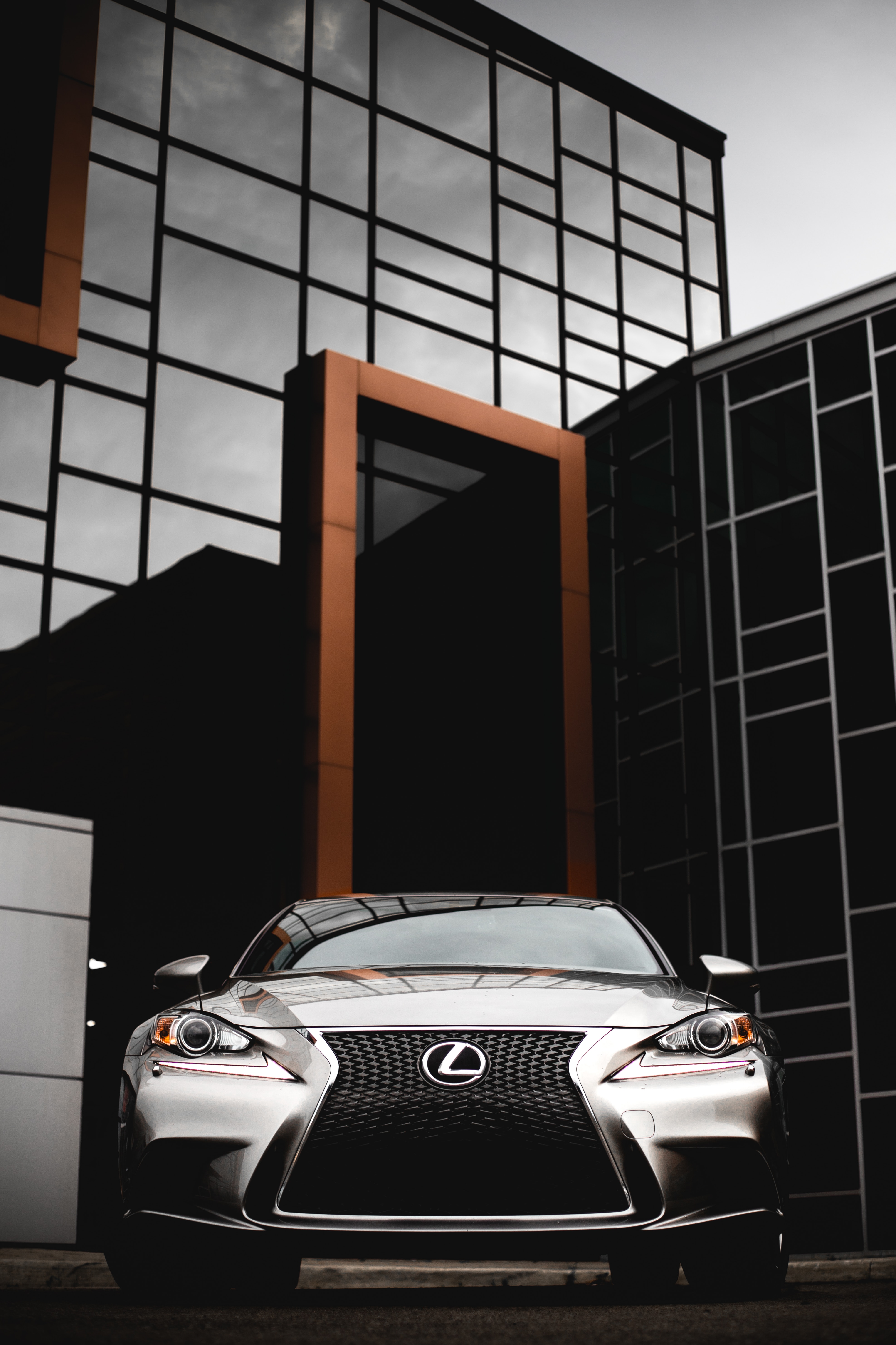 Lexus Vertical Background