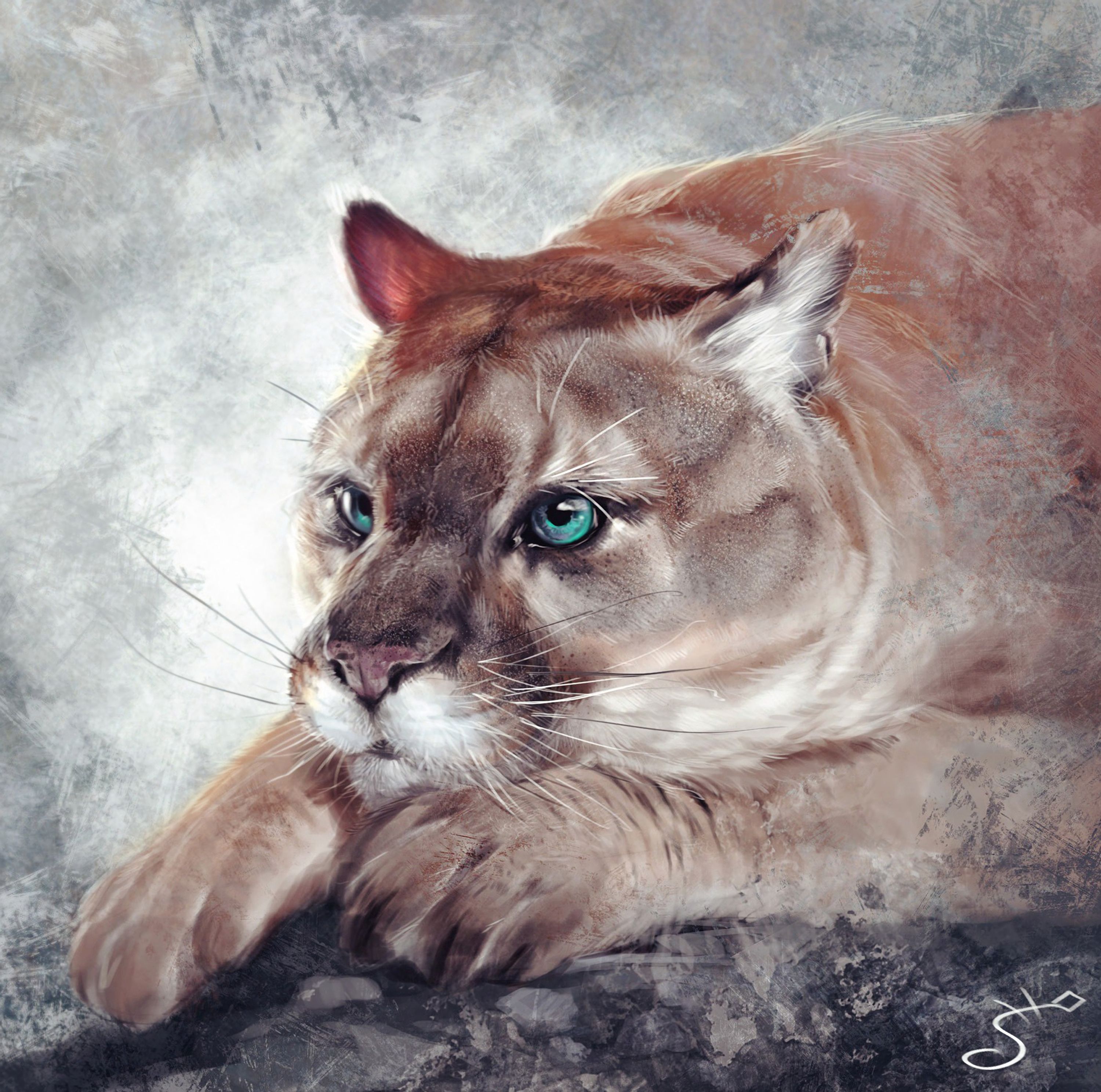 Download mobile wallpaper Muzzle, Predator, Big Cat, Jaguar, Art for free.