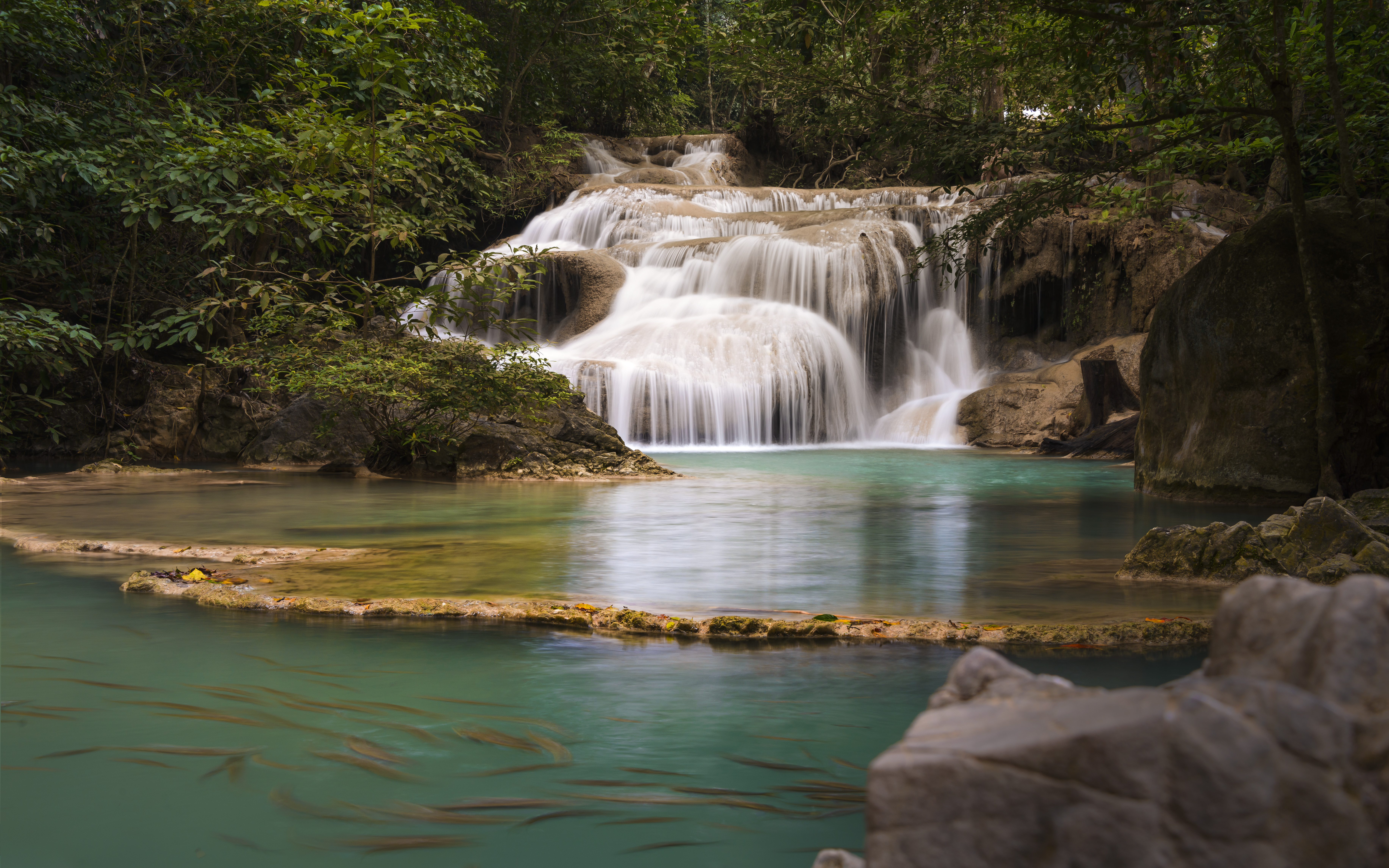 Free download wallpaper Nature, Trees, Stones, Waterfall, Branches, Water on your PC desktop