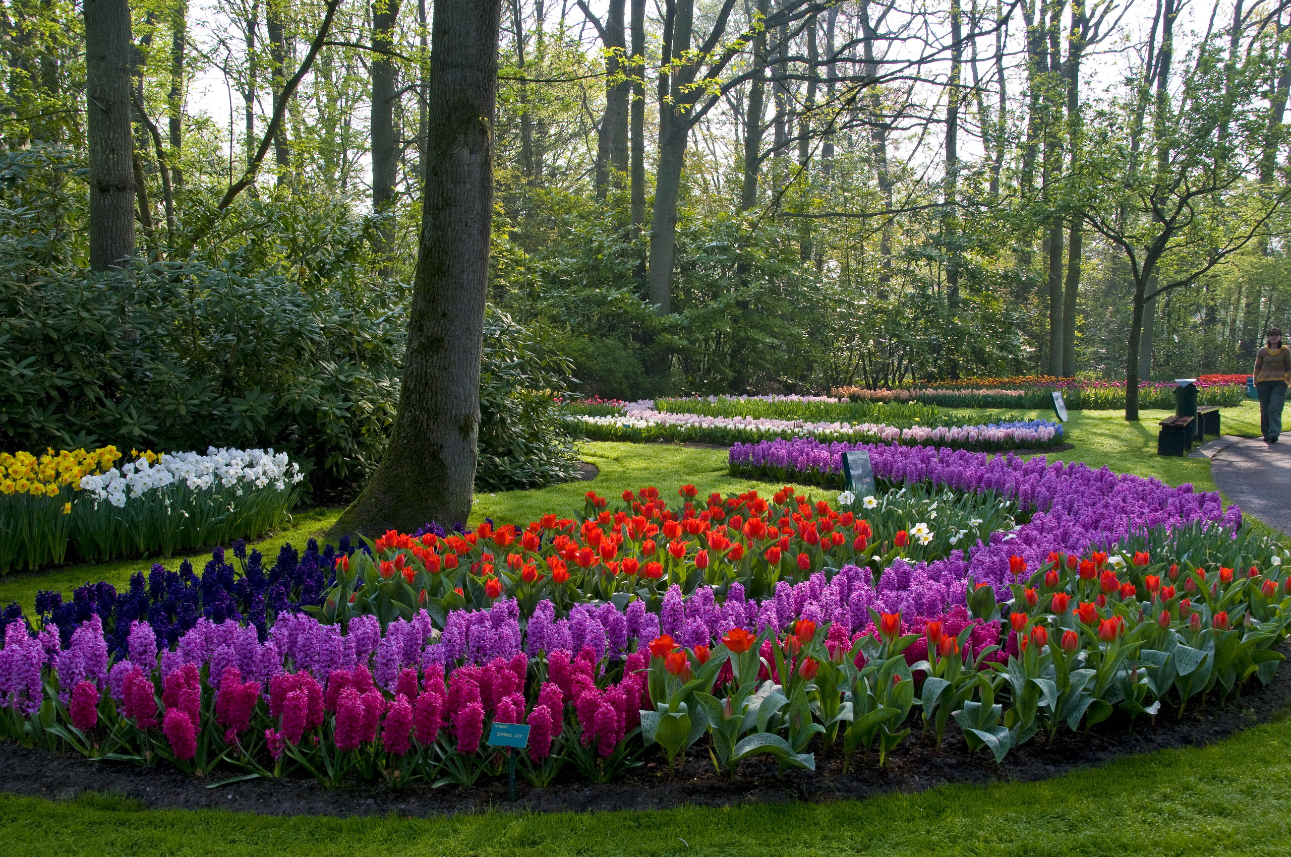park, photography, netherlands Full HD